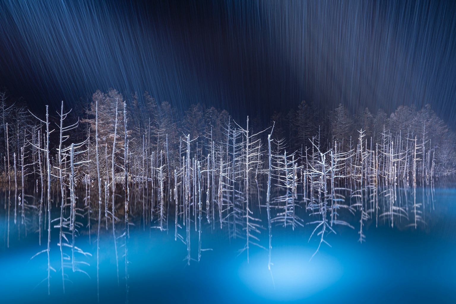 2023-12-winter-magic-image-8