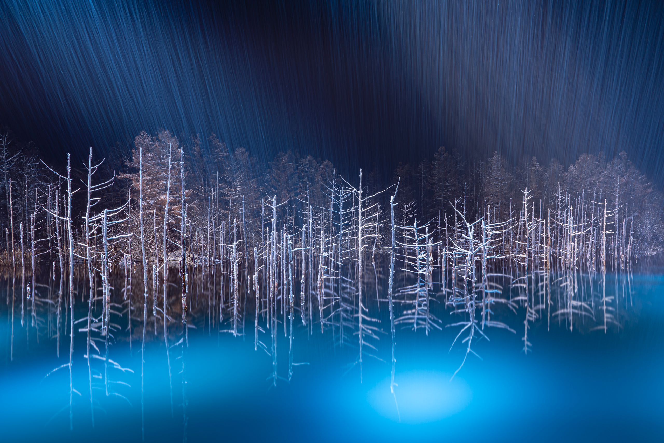 2023-12-winter-magic-image-8