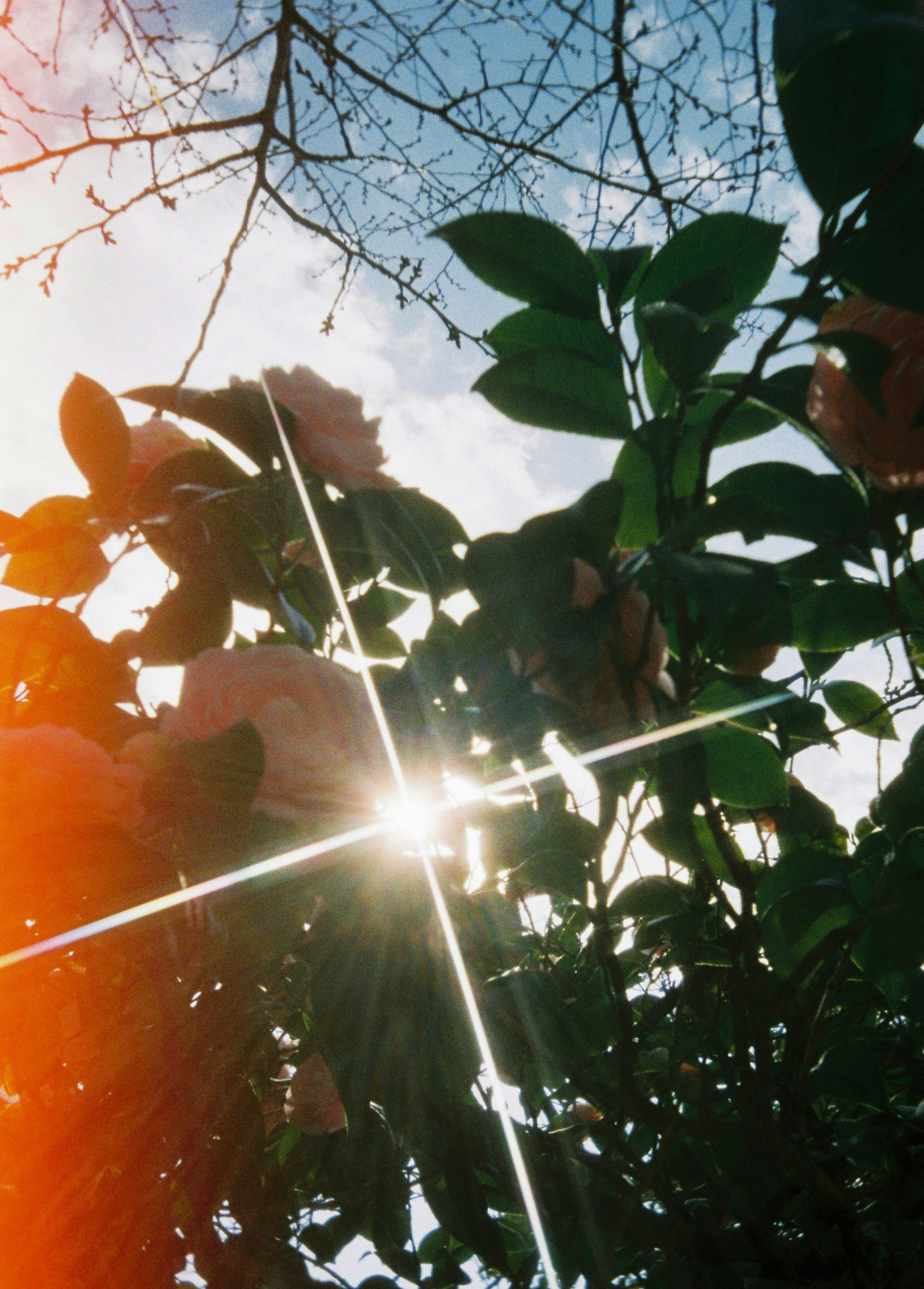 2025-03-momo-film-camera-beginner-kodak-ektar-h35n-image-17