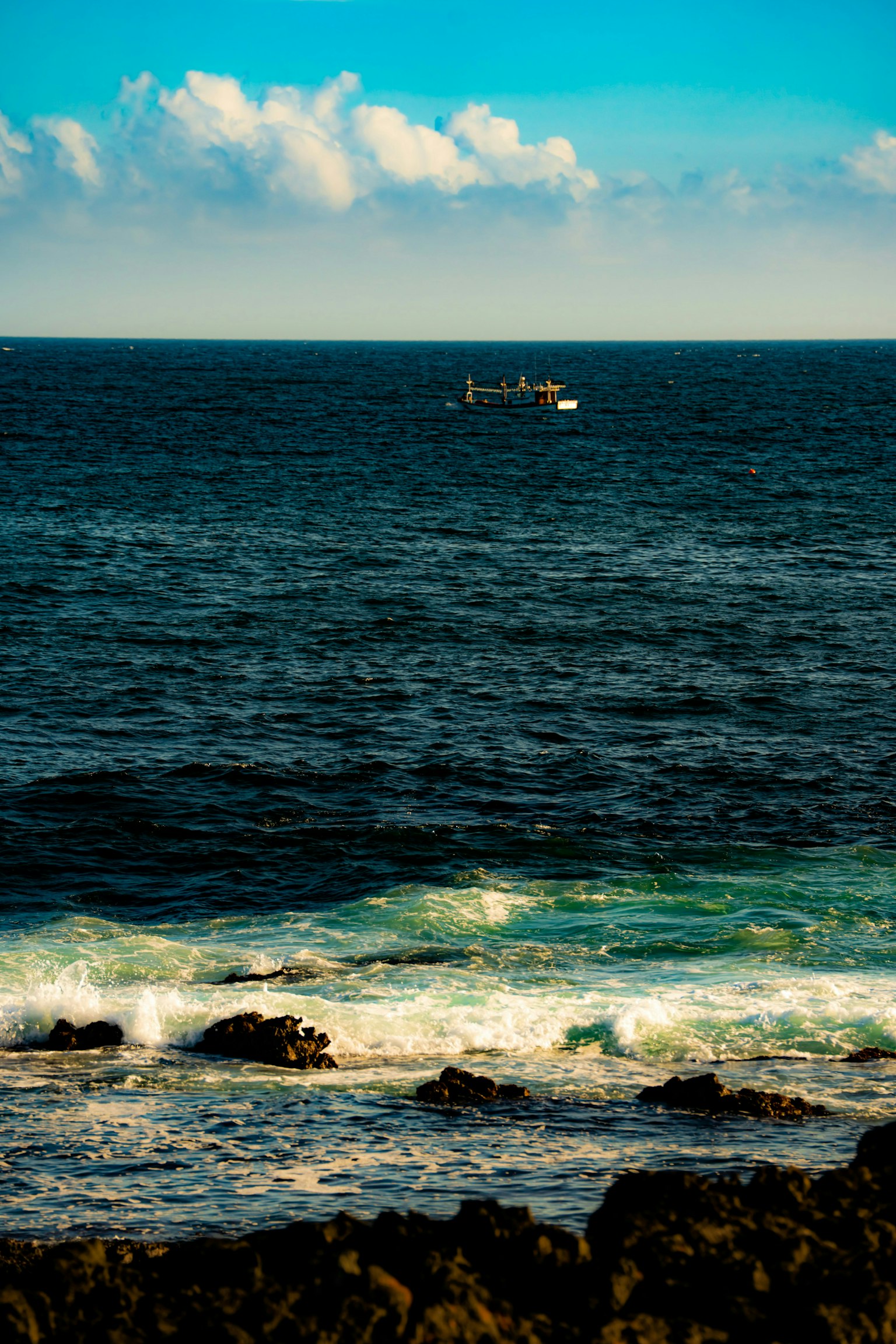 2025-11-trace-of-autumn-award-image-6