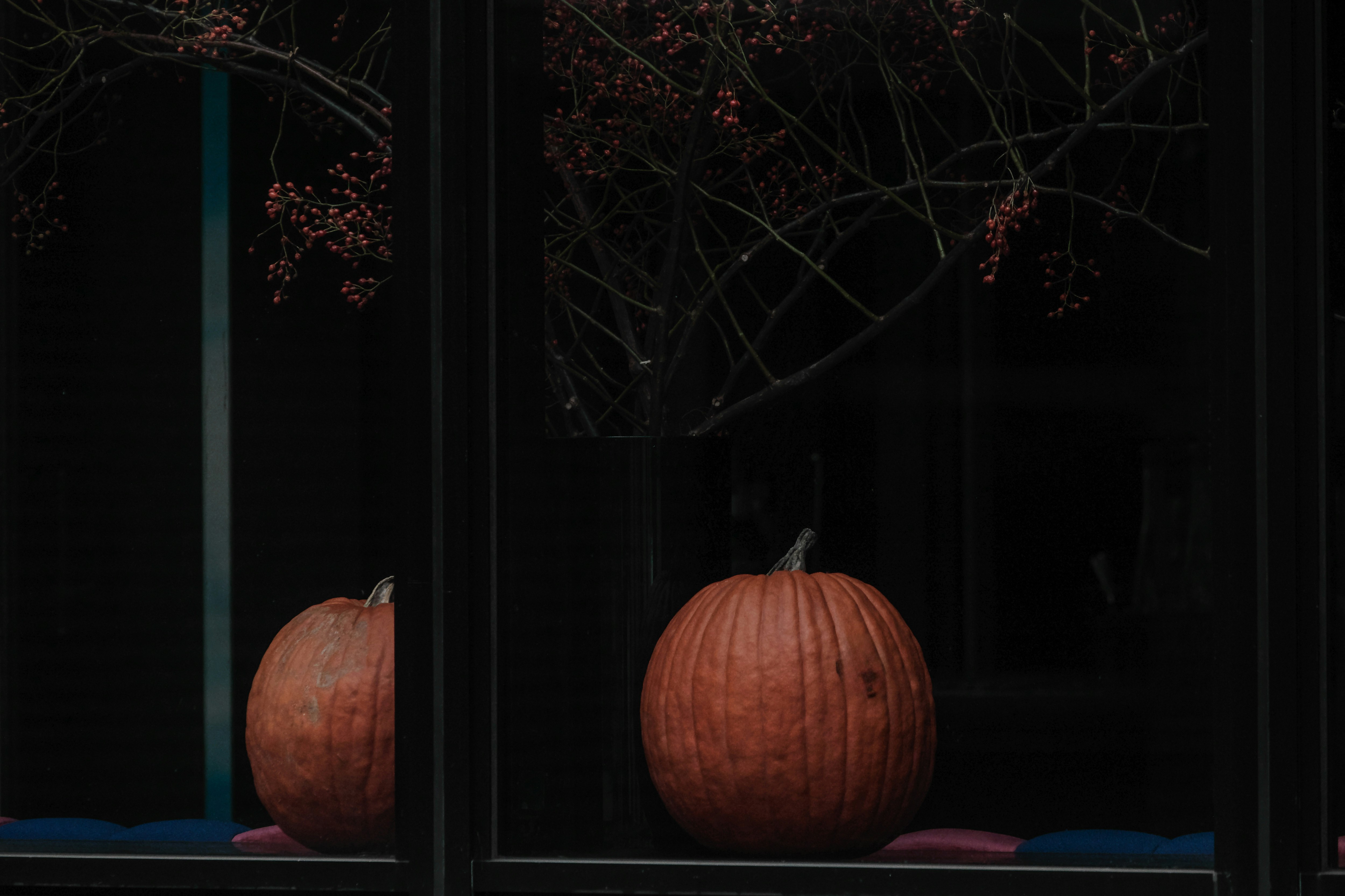 2025-10-halloween-photography-japan-cover-image