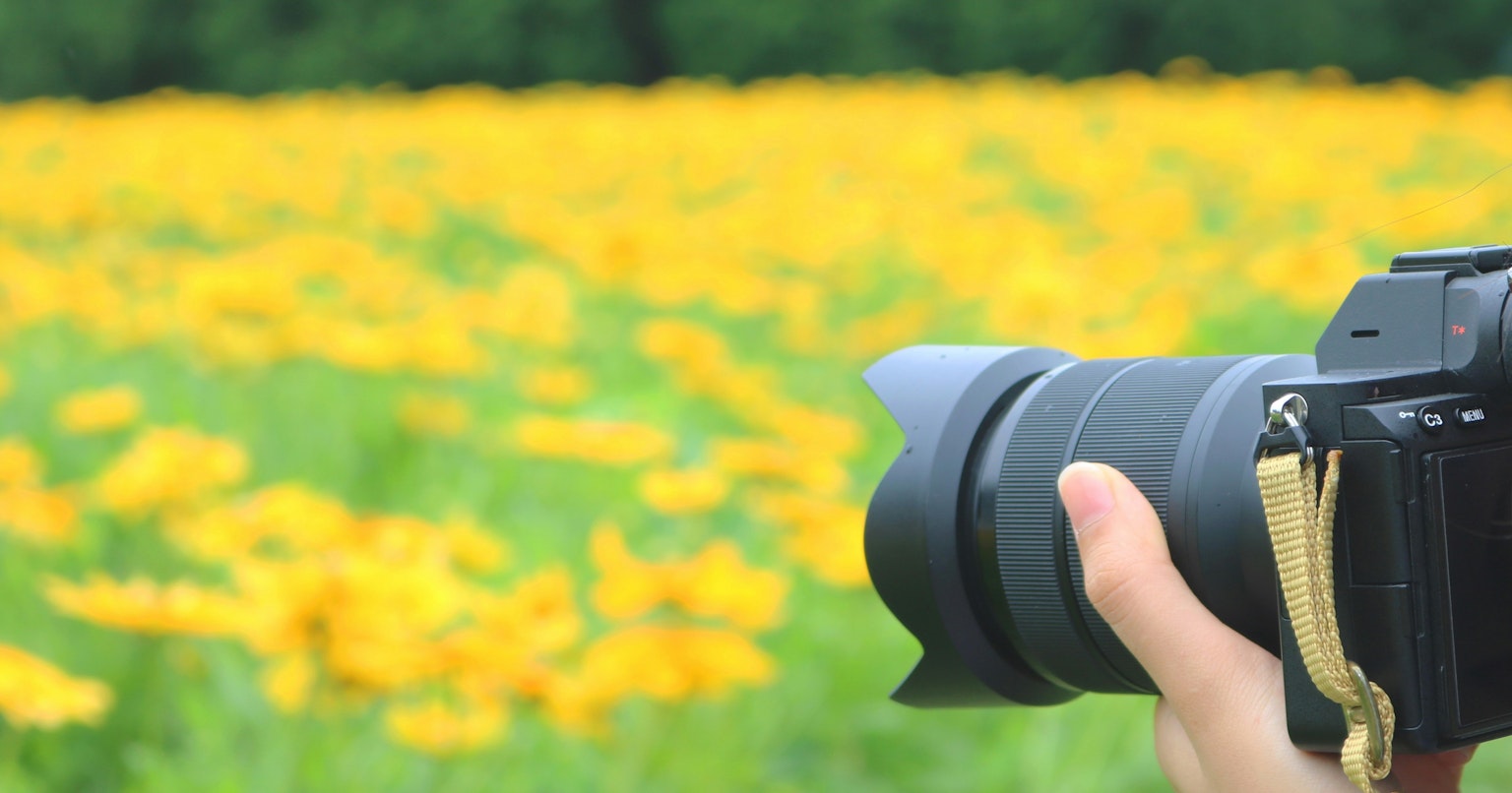 2024-08-lens-hood-tips-cover-image