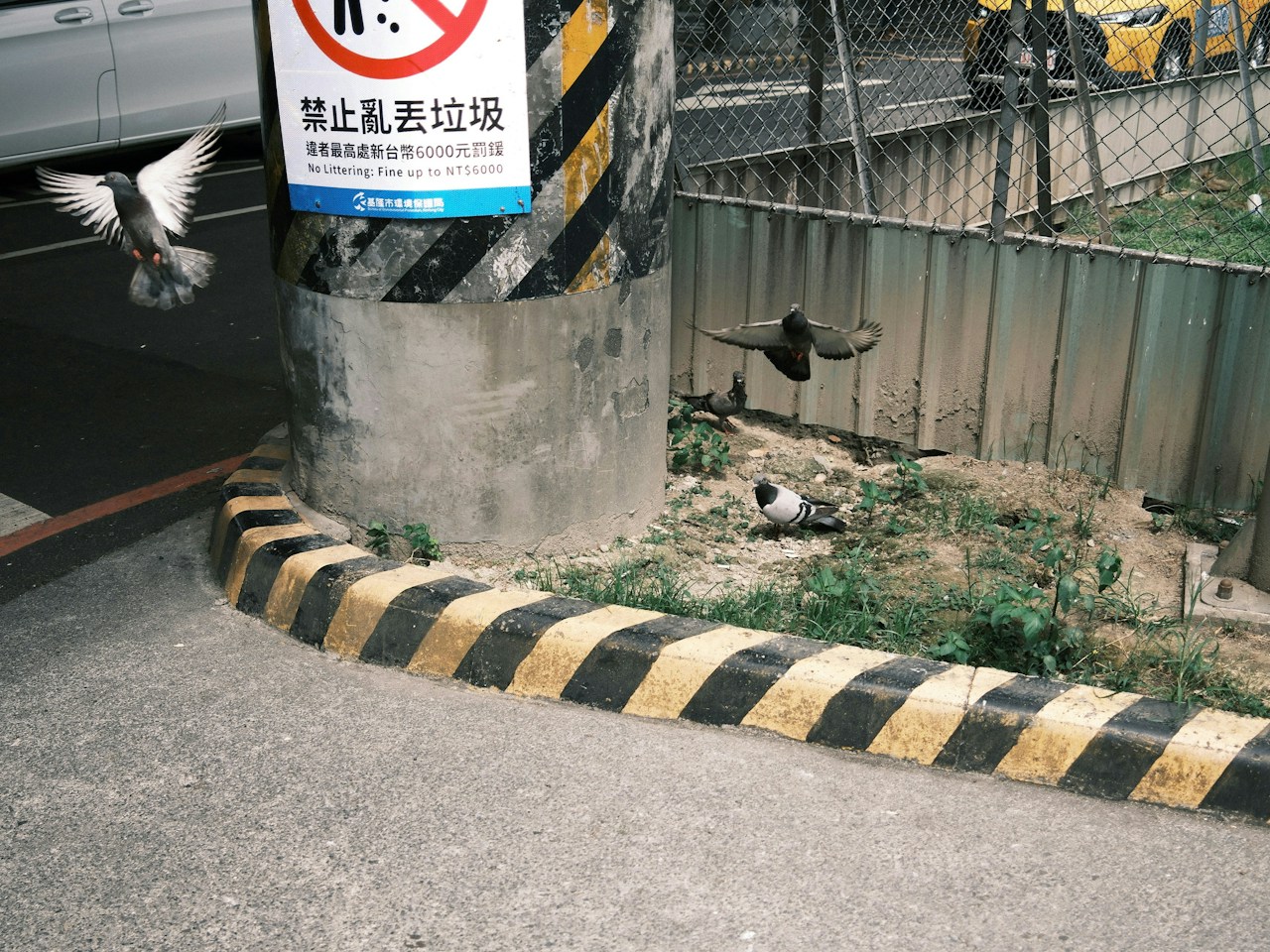 Foto por 暴龍