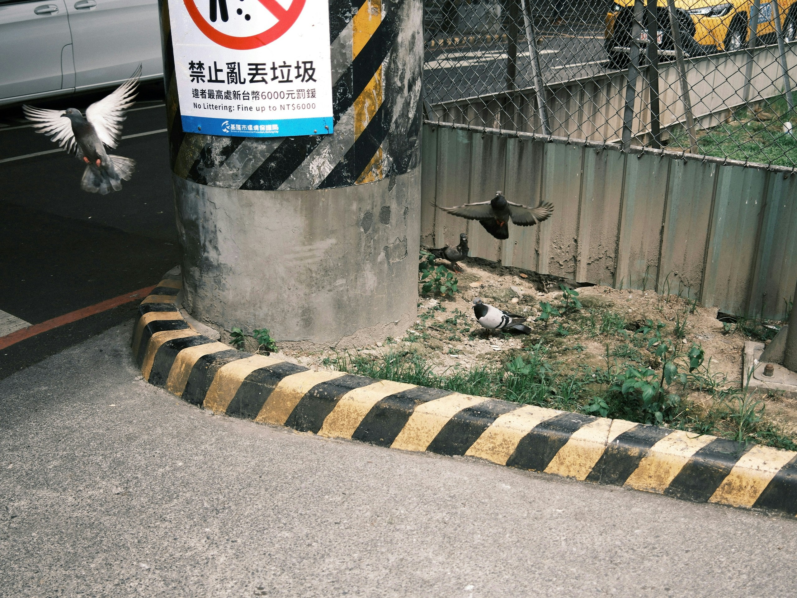 2026-07-read-your-photography-only-the-shutter-image-16
