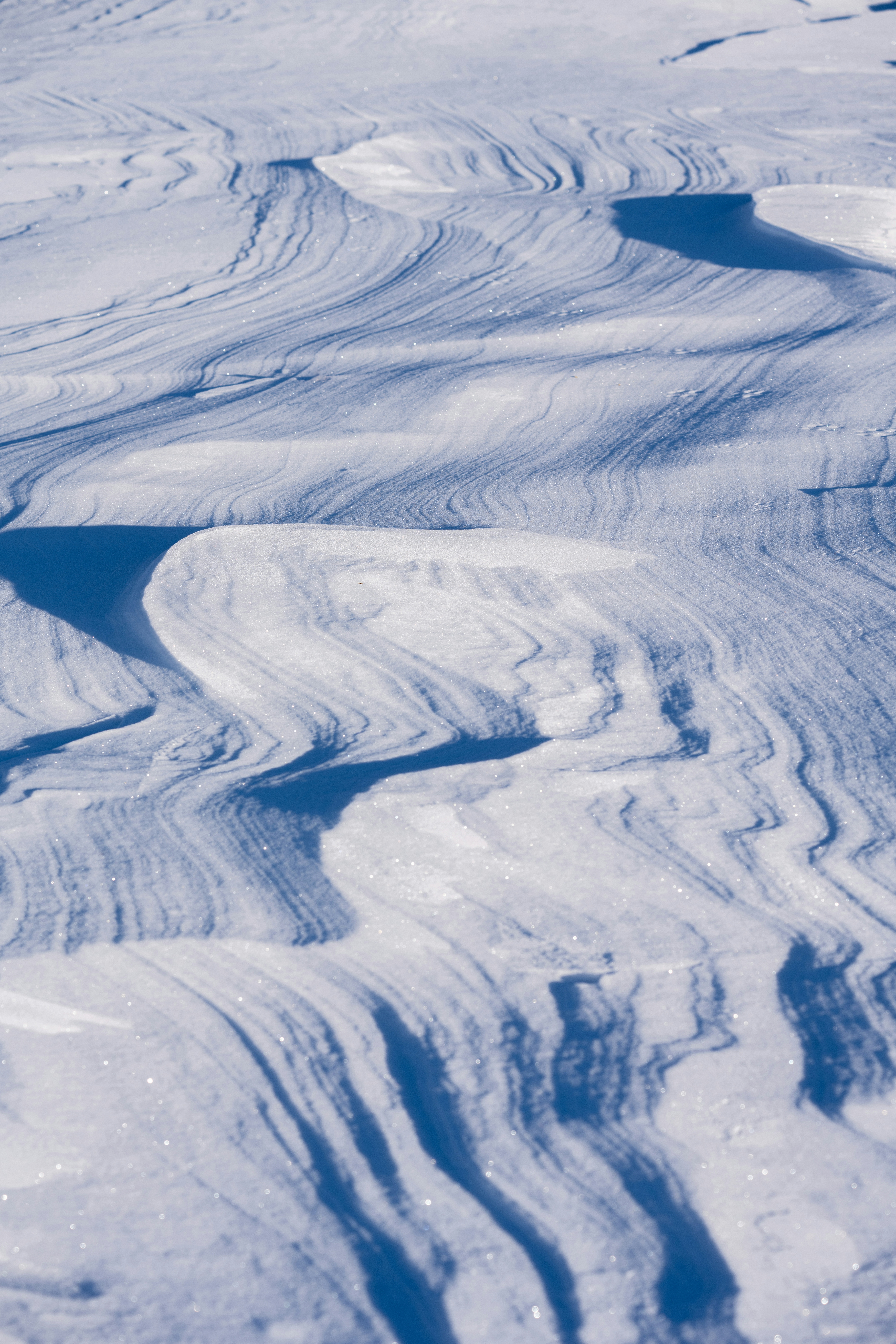2026-01-photography-in-white-image-11