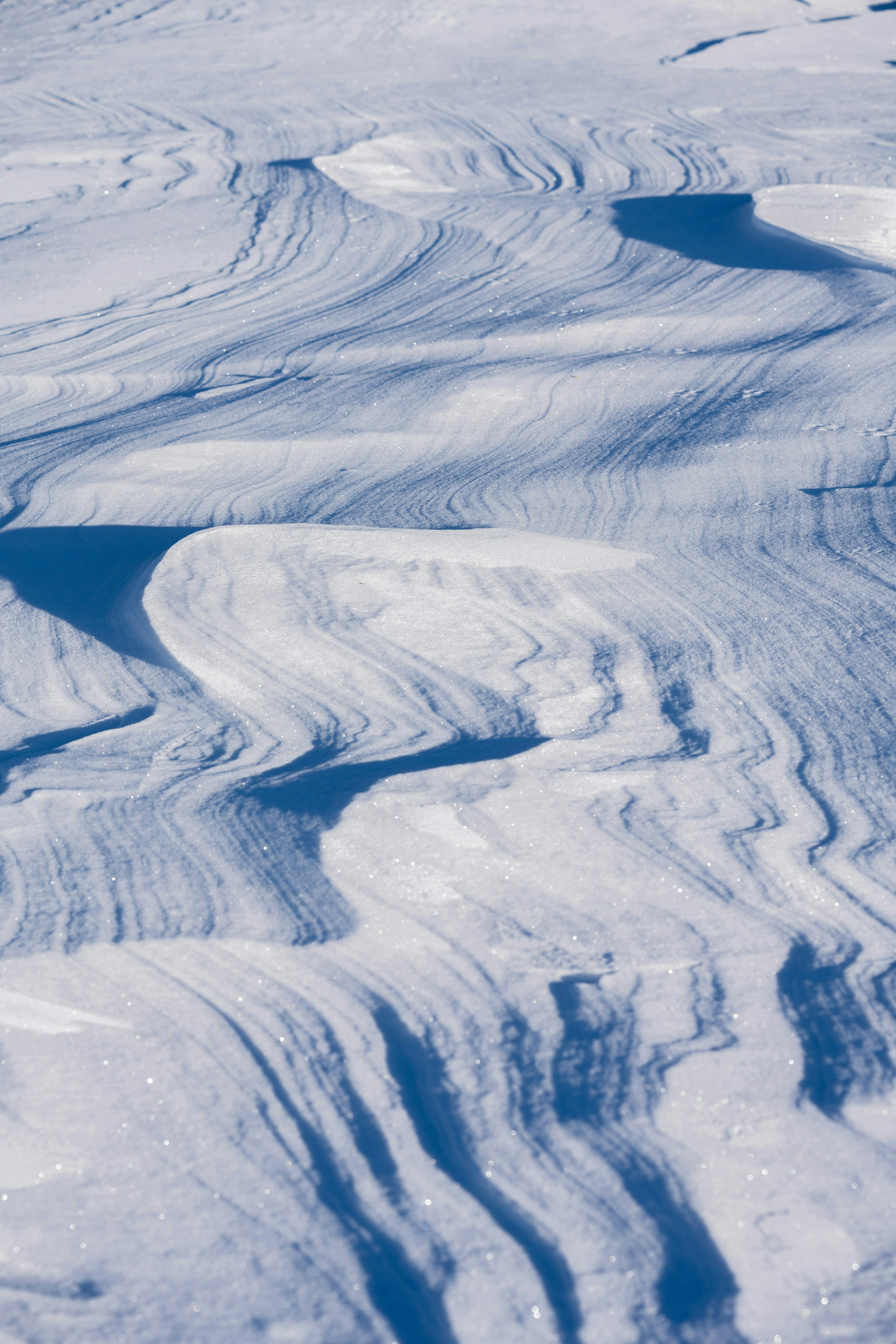 2026-01-photography-in-white-image-11