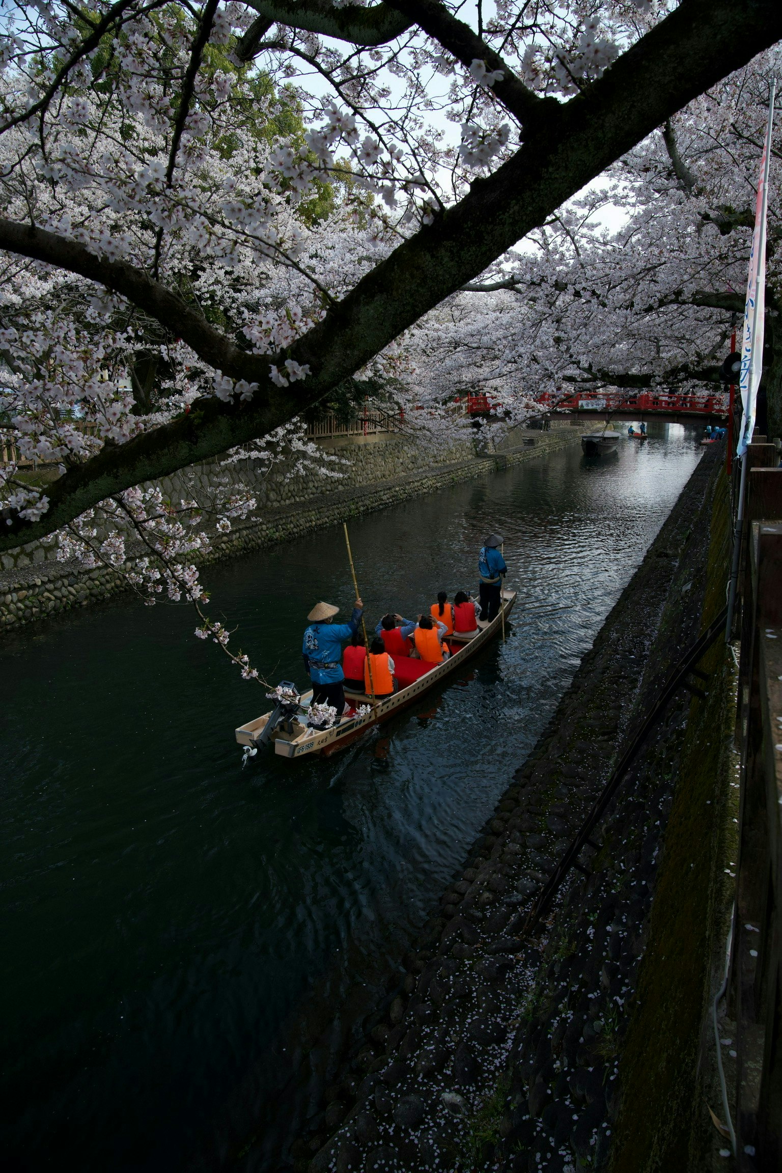 2025-05-spring-swing-award-image-10