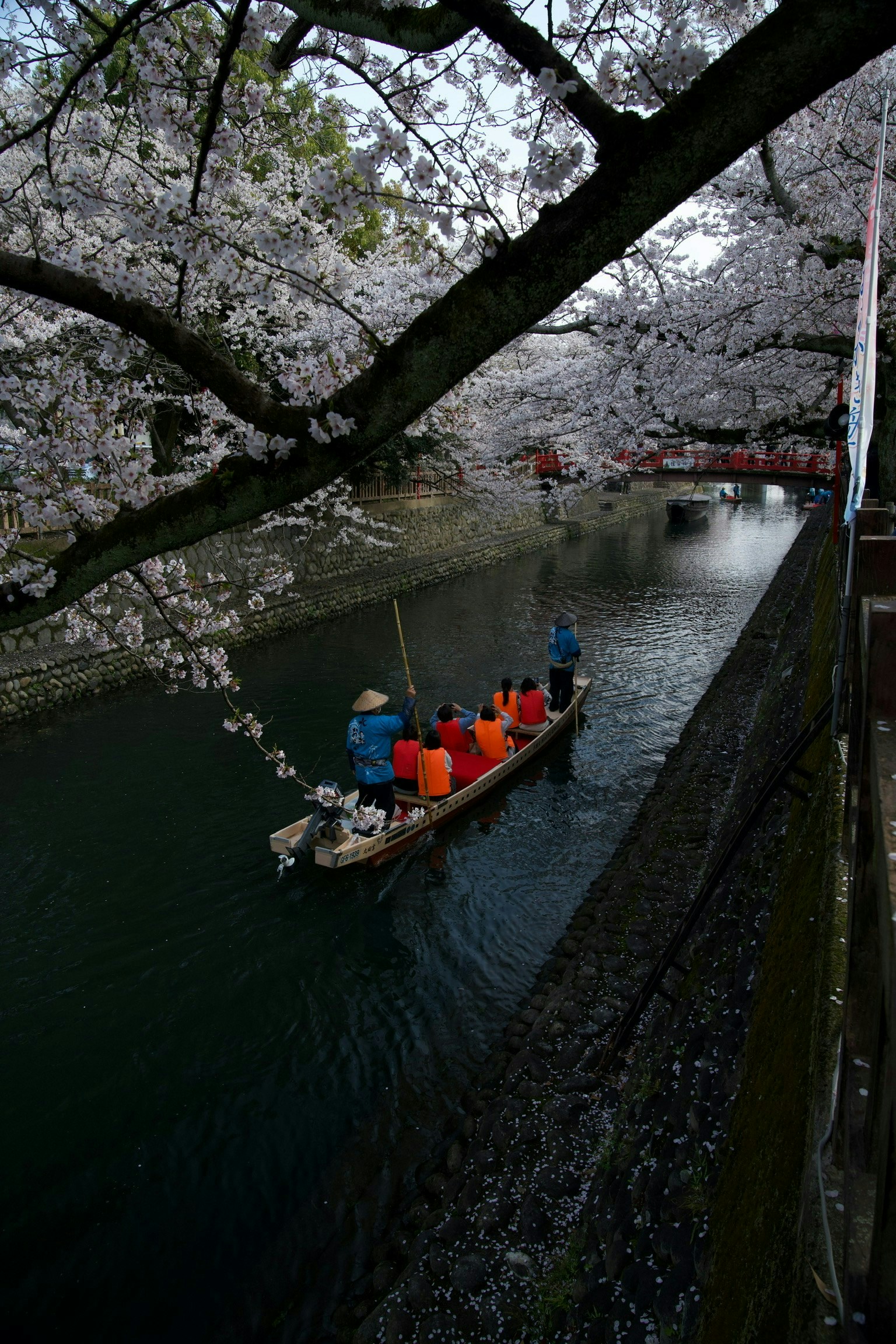 2025-05-spring-swing-award-image-10