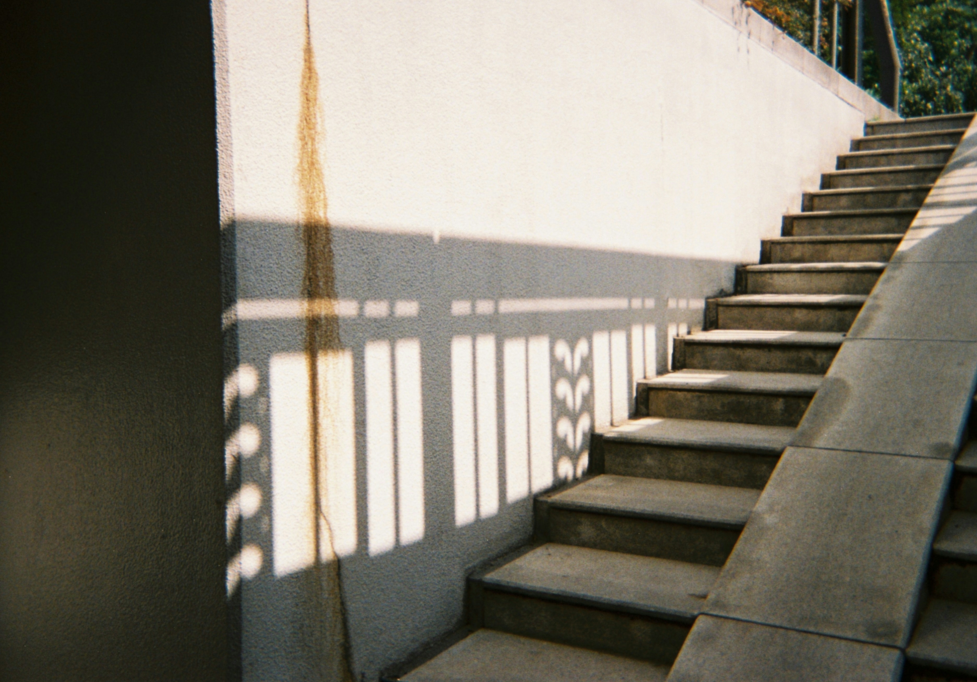 2026-08-understated-film-photography-by-mira-image-6
