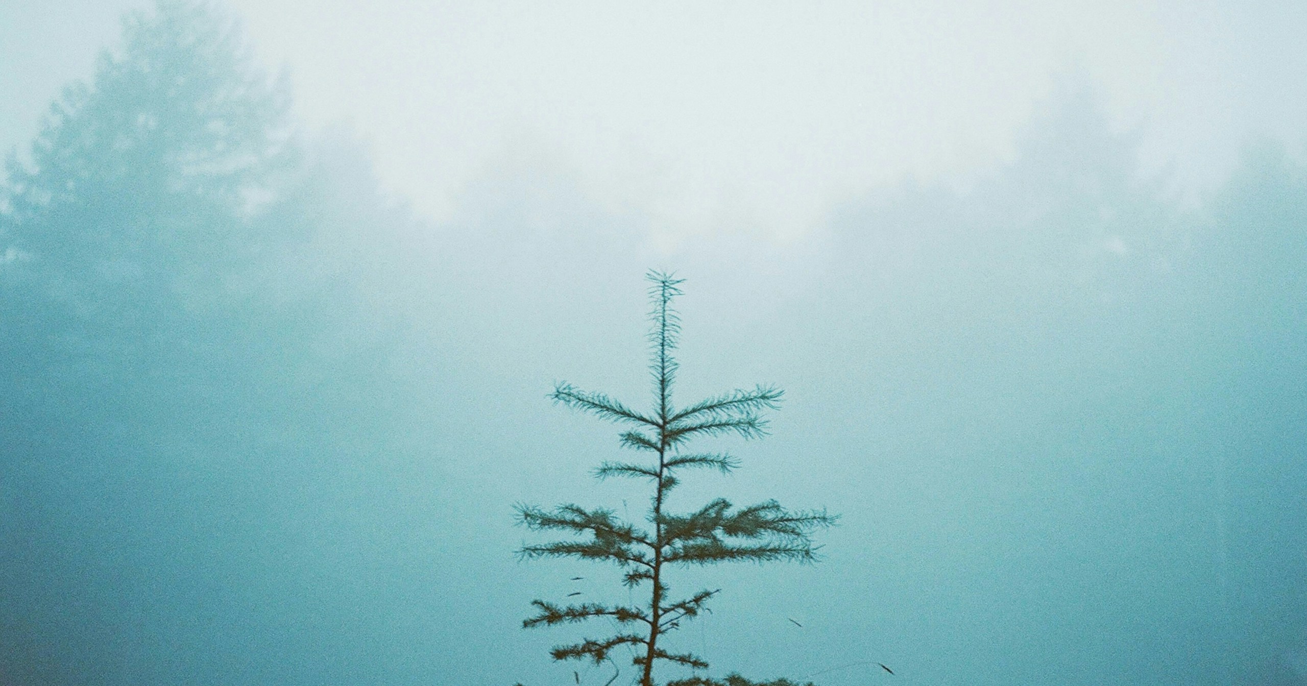 yNAK bercerita | Keterbatasan Membuat Kita Lebih Menghargai Setiap Bingkai | OLYMPUS PEN FT | Knowledge #526