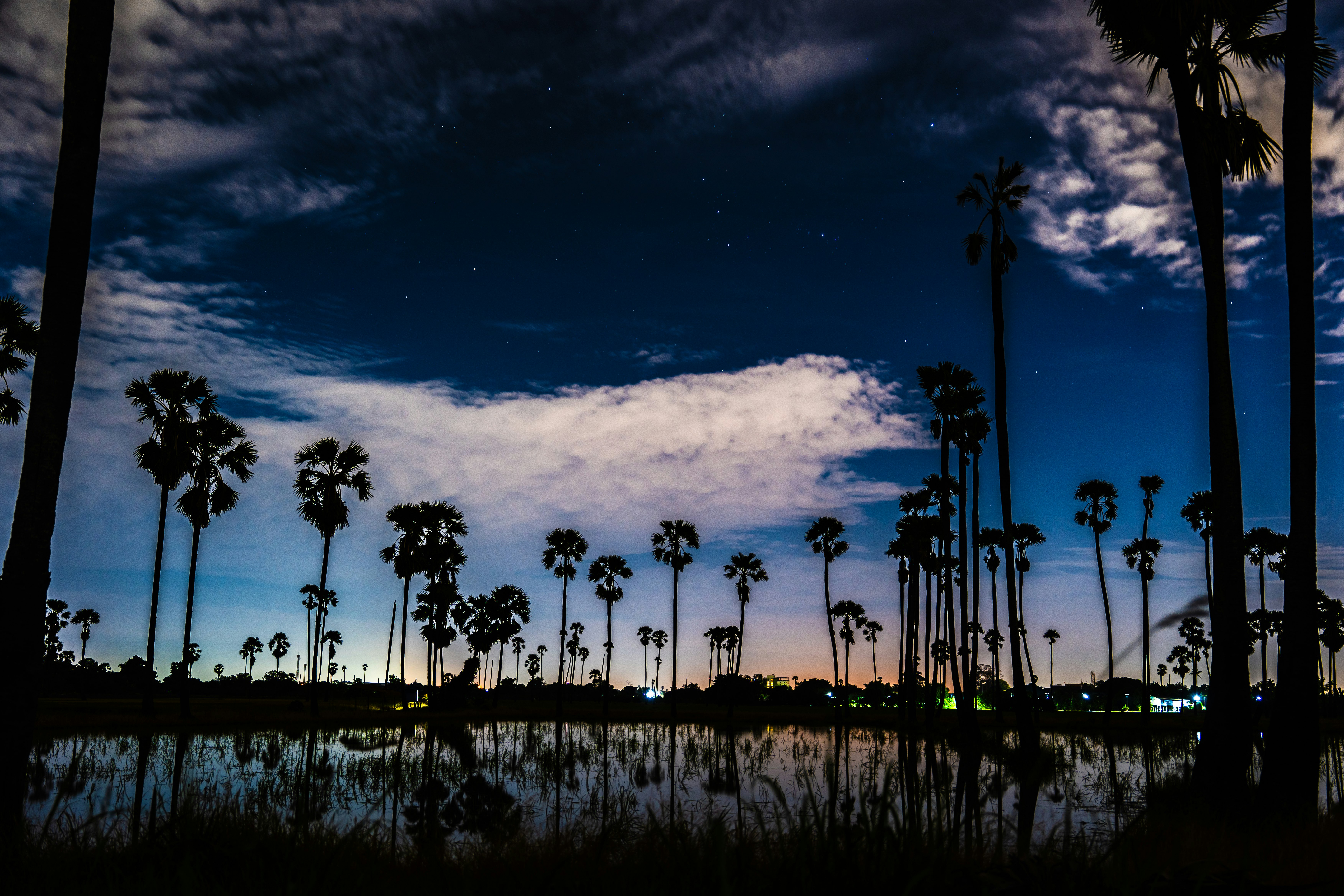 2025-11-pick-up-photos-no-234-238-cover-image