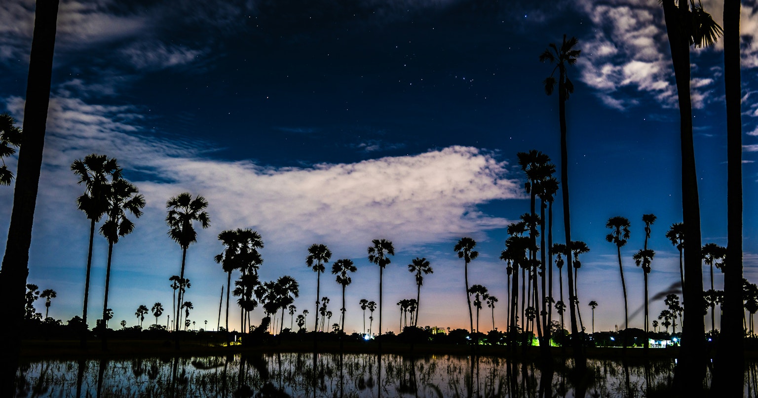 2025-11-pick-up-photos-no-234-238-cover-image