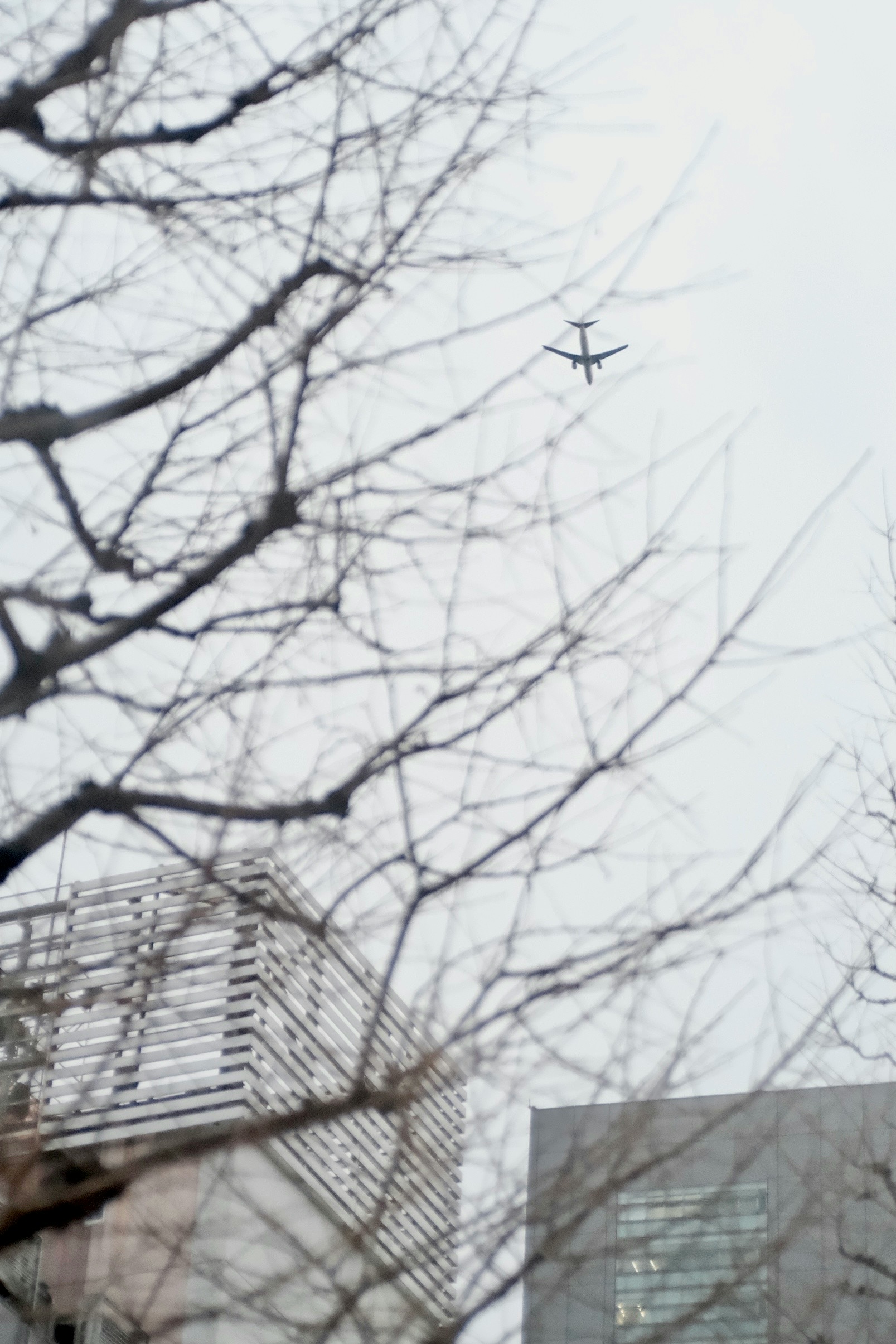 2026-03-find-new-pieces-airplane-image-20