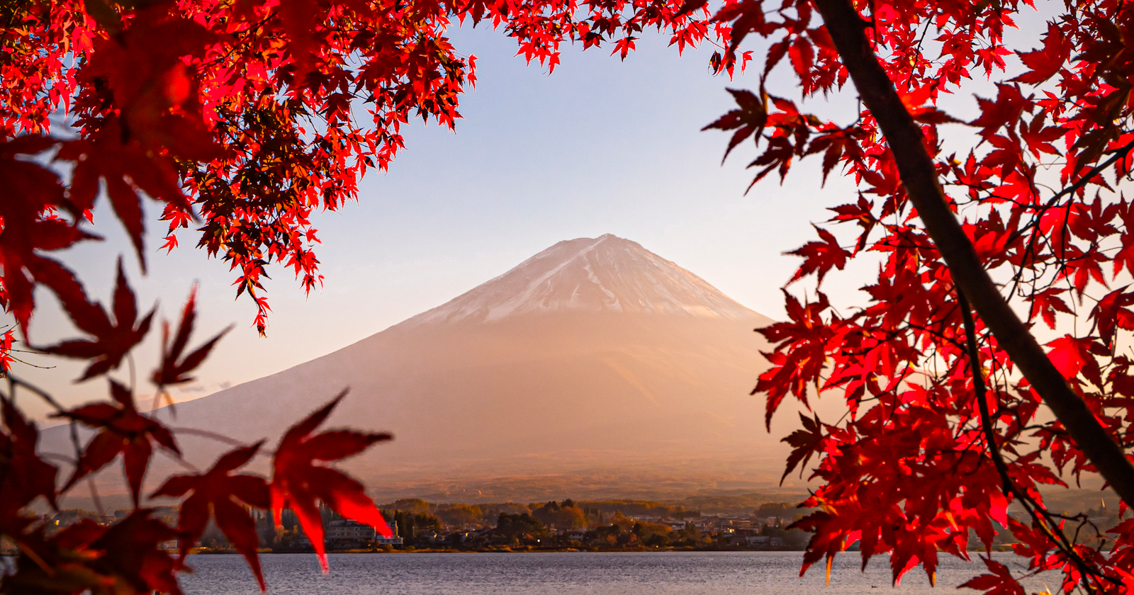 Annuncio dei Premi di 『Fall in Autumn』 | Challenge #40