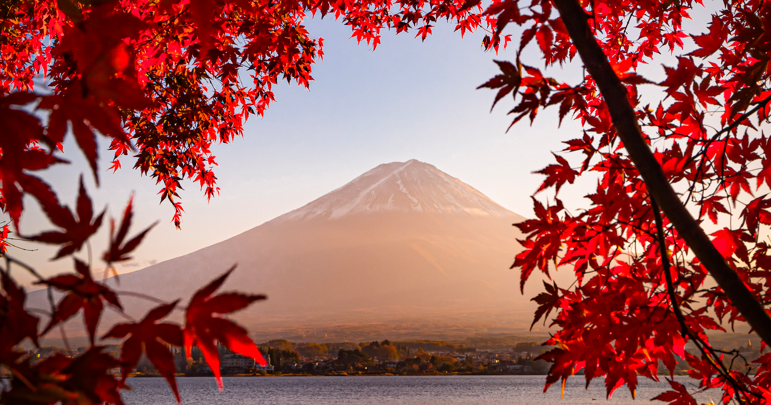 ‘Fall in Autumn’ Award Announcement | Challenge #40