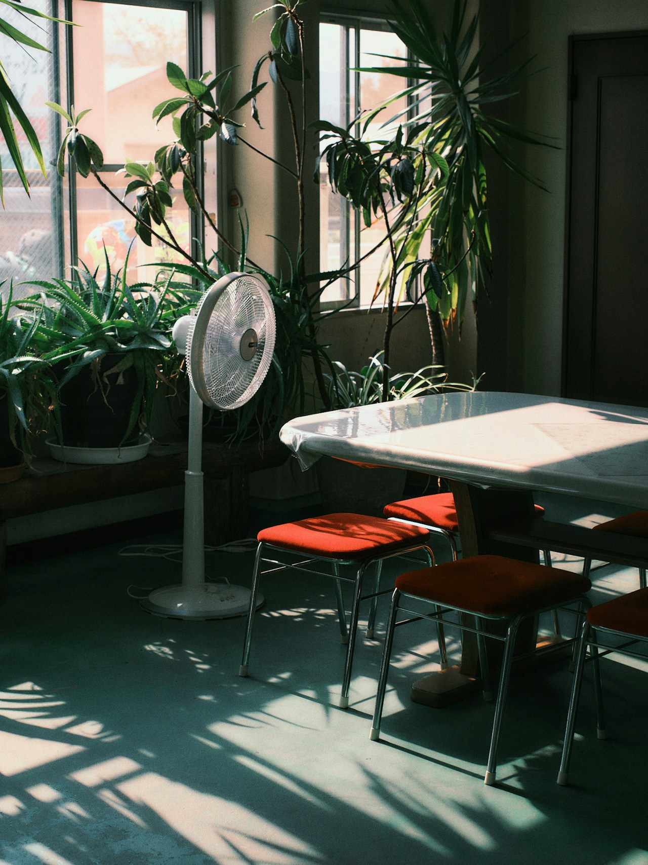 Photo by 好 | Kodai Yamashita