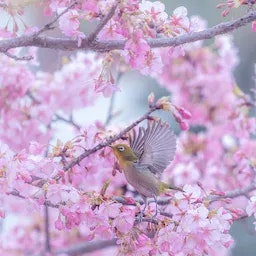 2023-12-landscape-treasures-curators-interview-information-image-8