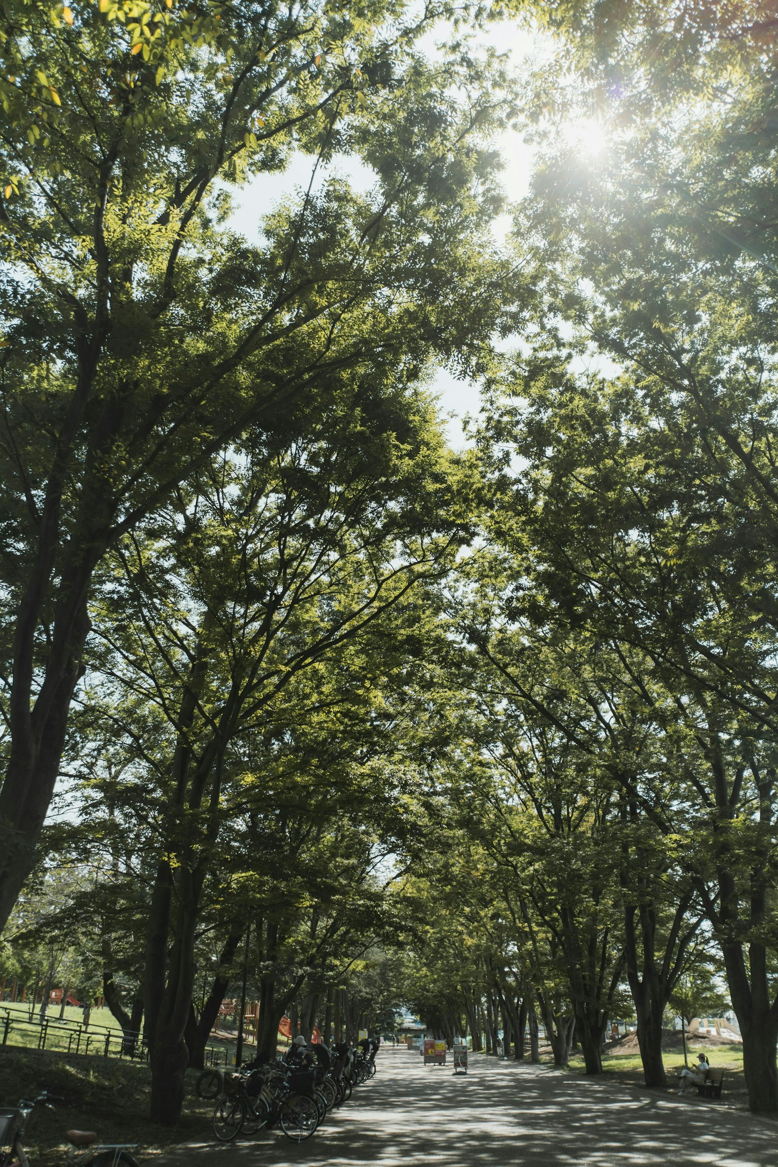 2025-11-fujikko-beyond-camera-again-image-8