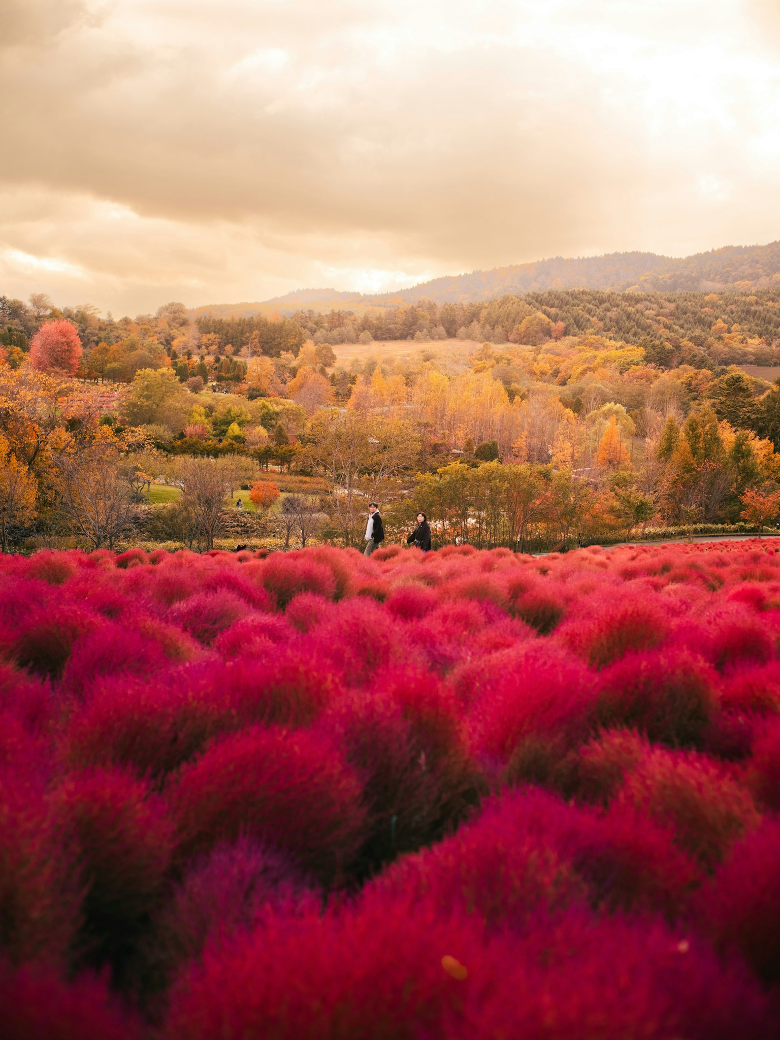 2025-11-trace-of-autumn-award-image-14