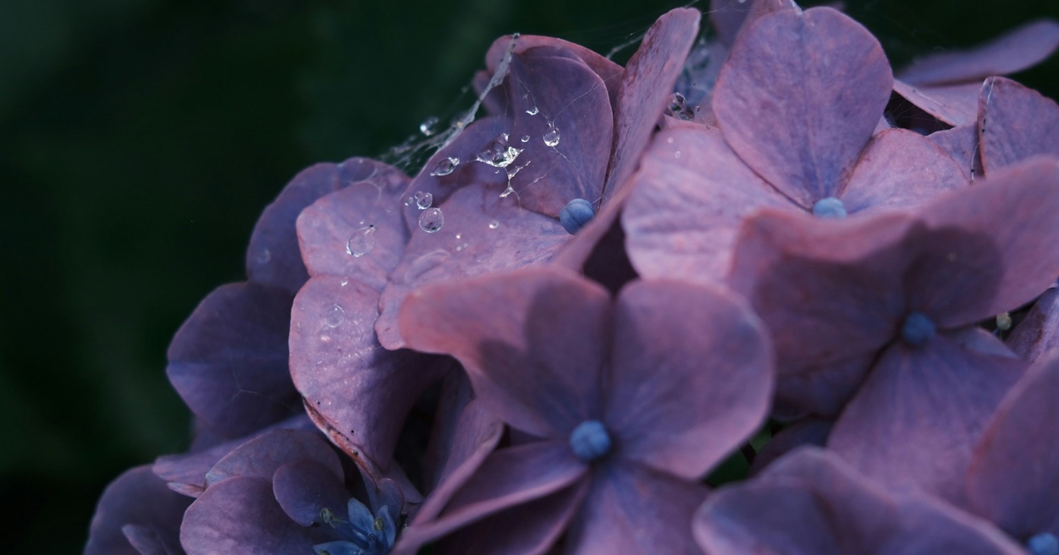 2025-05-pick-up-photos-no-139-143-cover-image