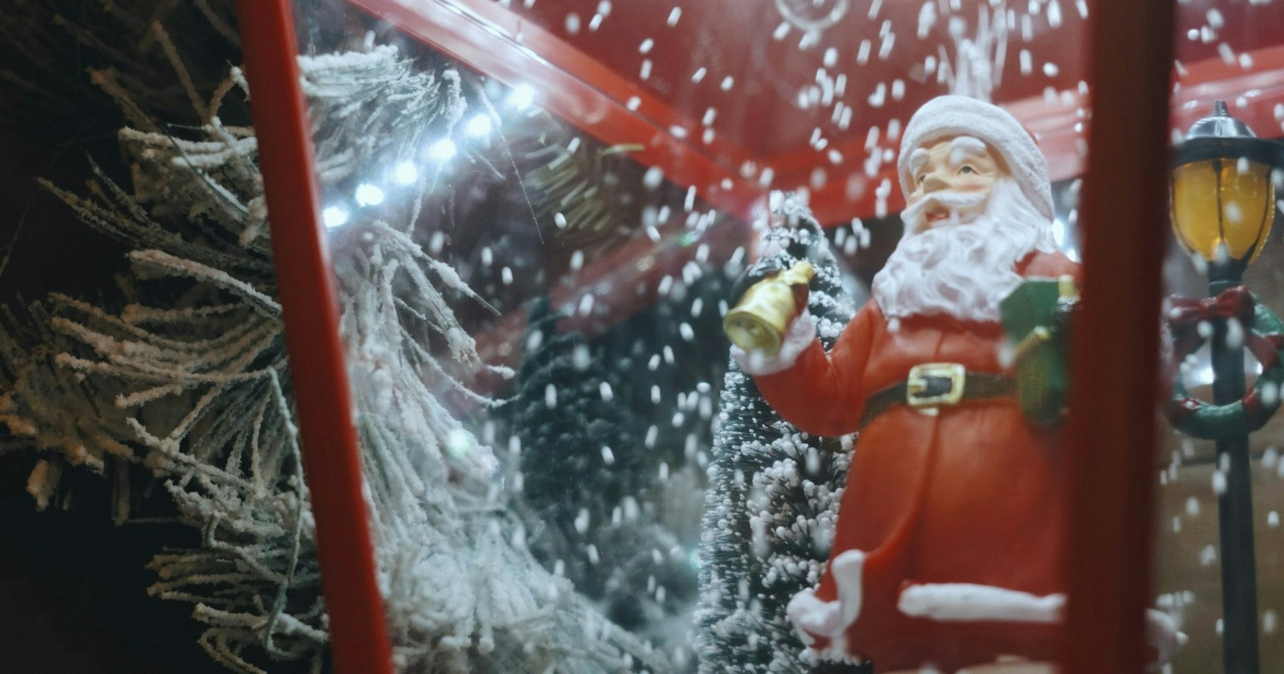 #christmas | ¿Qué tipo de fotos quieres tomar en Navidad? | Focus #586