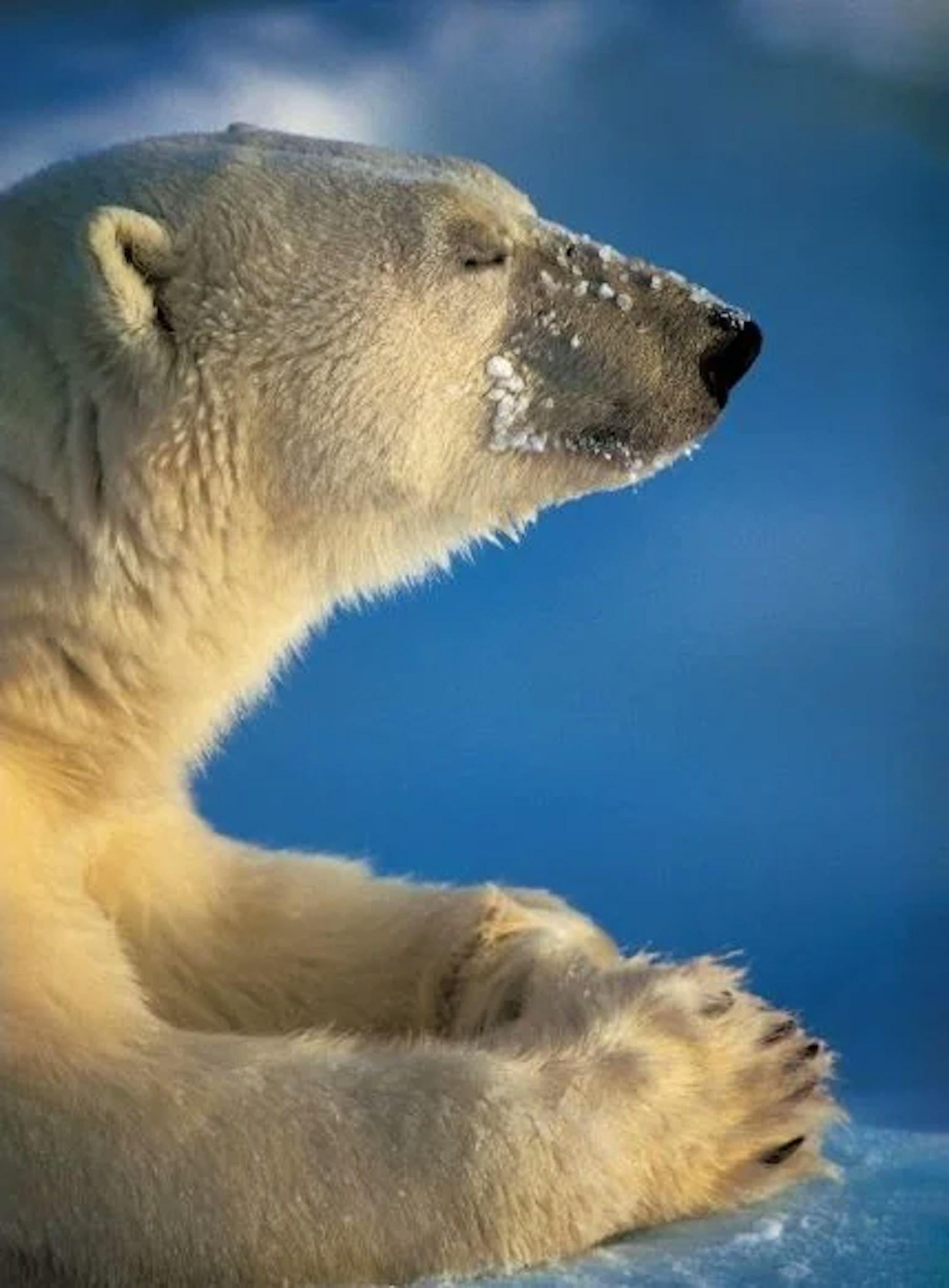 2023-10-how-to-start-animal-photography-image-7