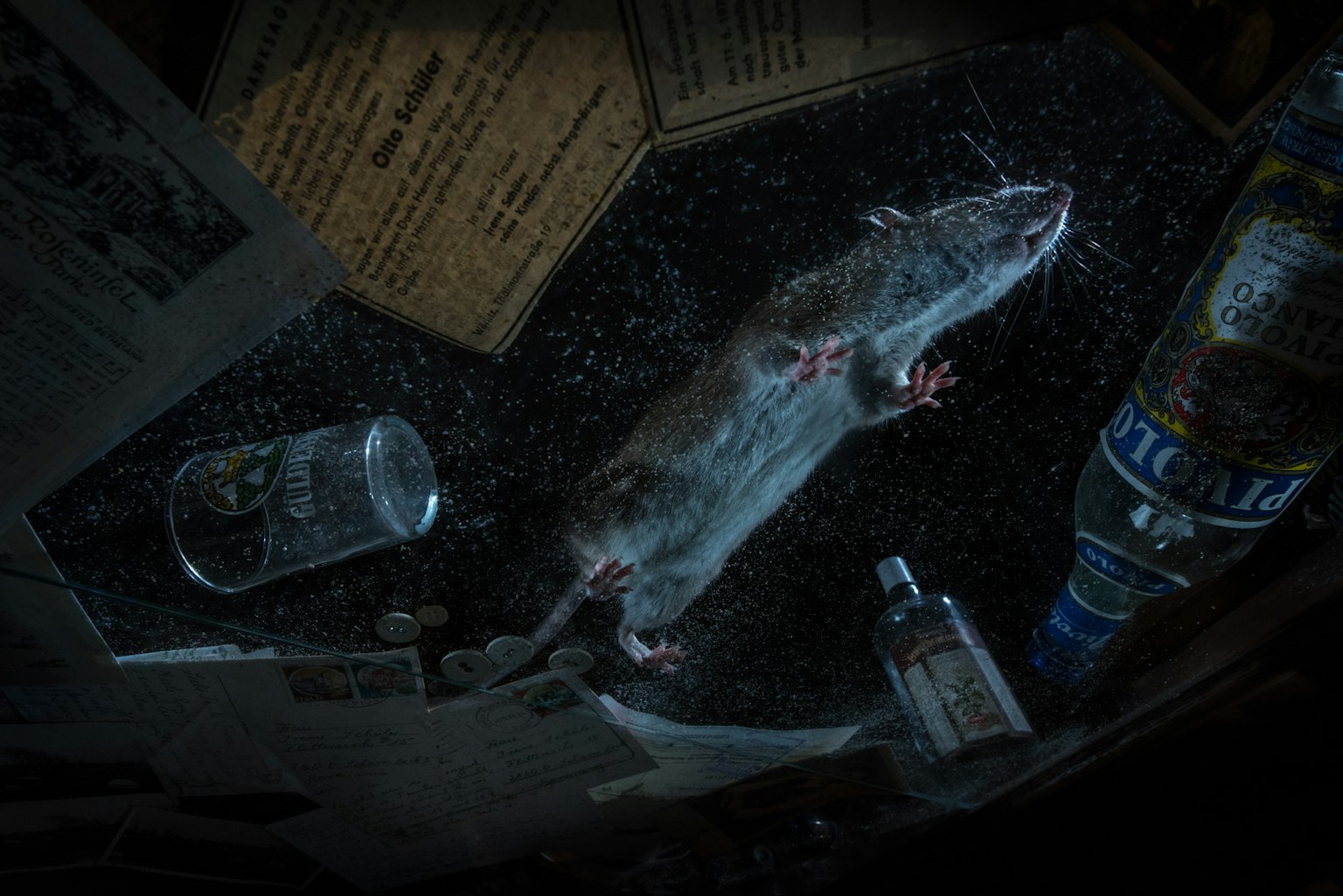 2023-10-nature-ttl-photographer-of-the-year-image-12