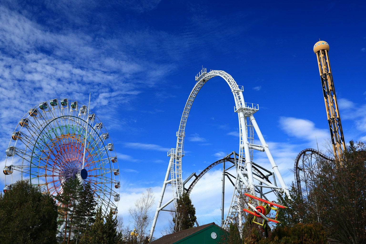 2024-06-camera-brand-image-7