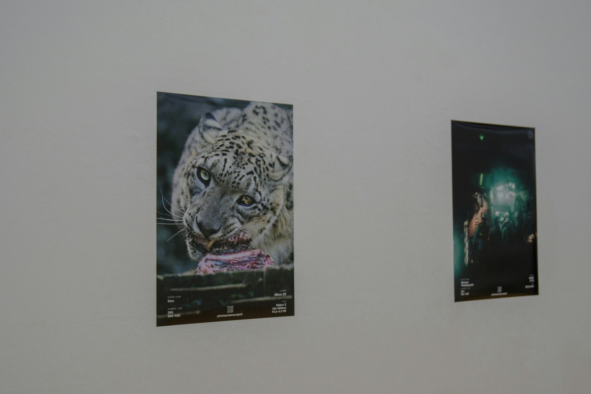 2025-04-ppp-review-by-hiro-image-2