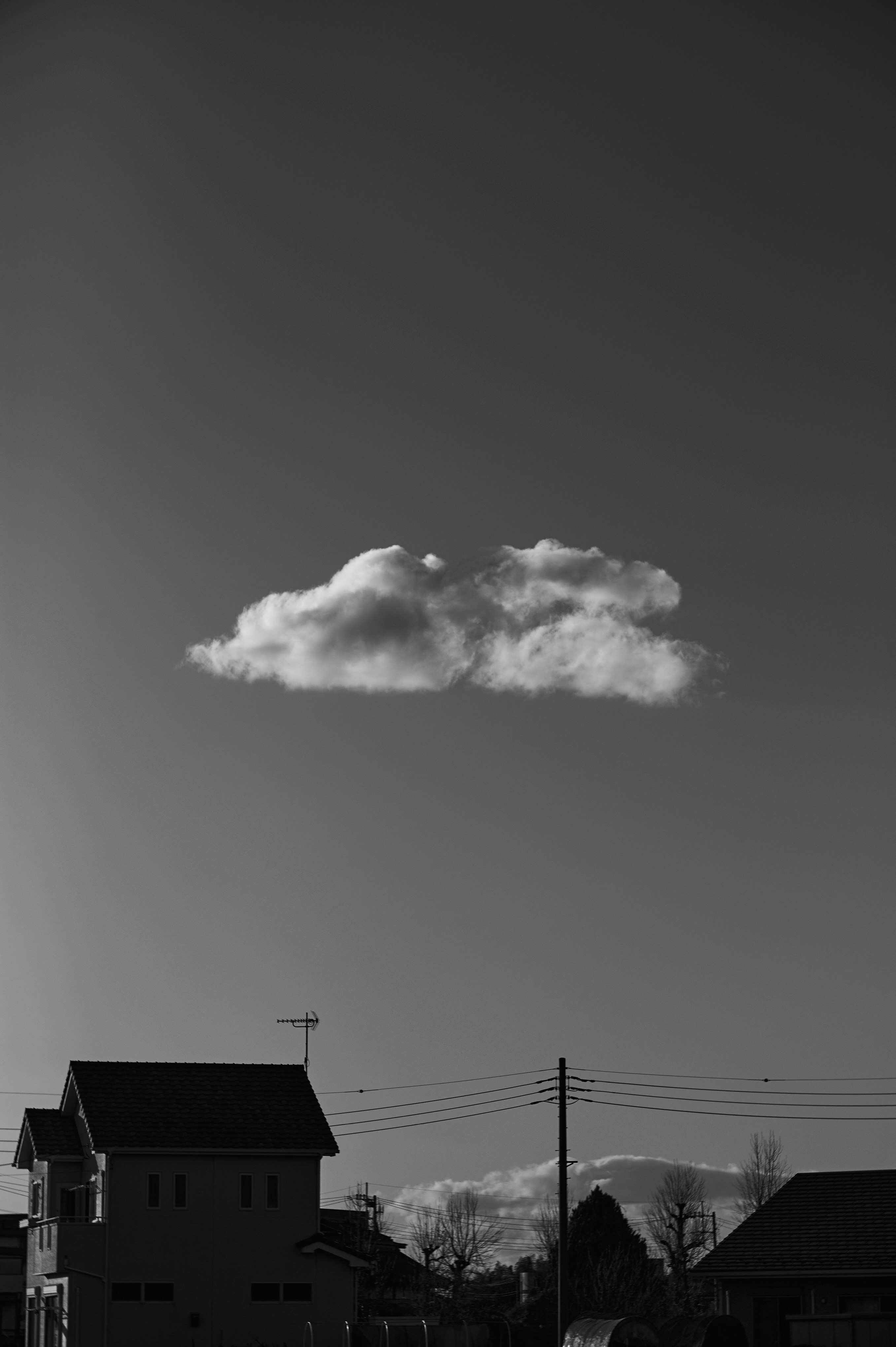 2026-04-between-light-shadow-image-8
