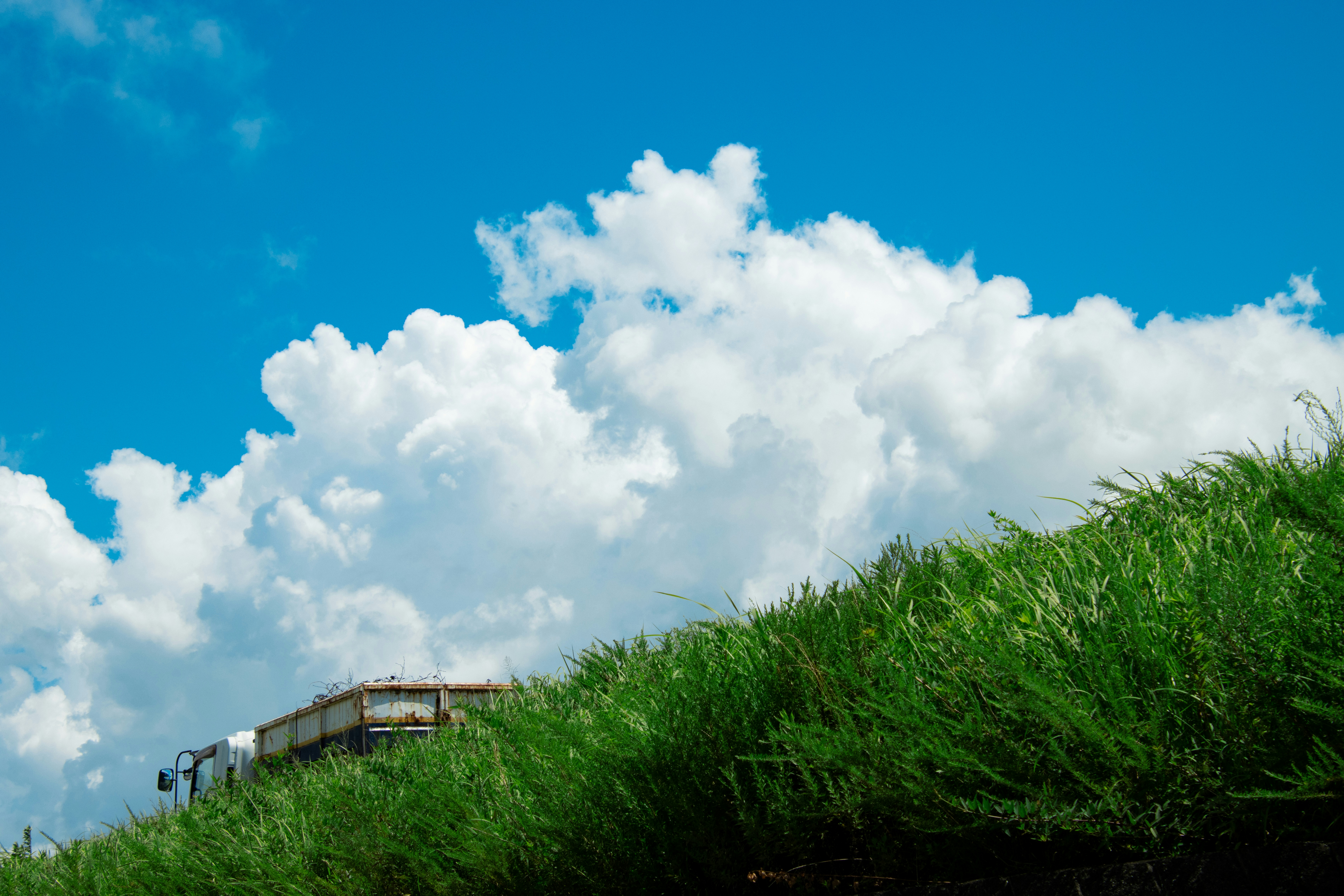 2026-08-reading-cloud-shapes-cover-image