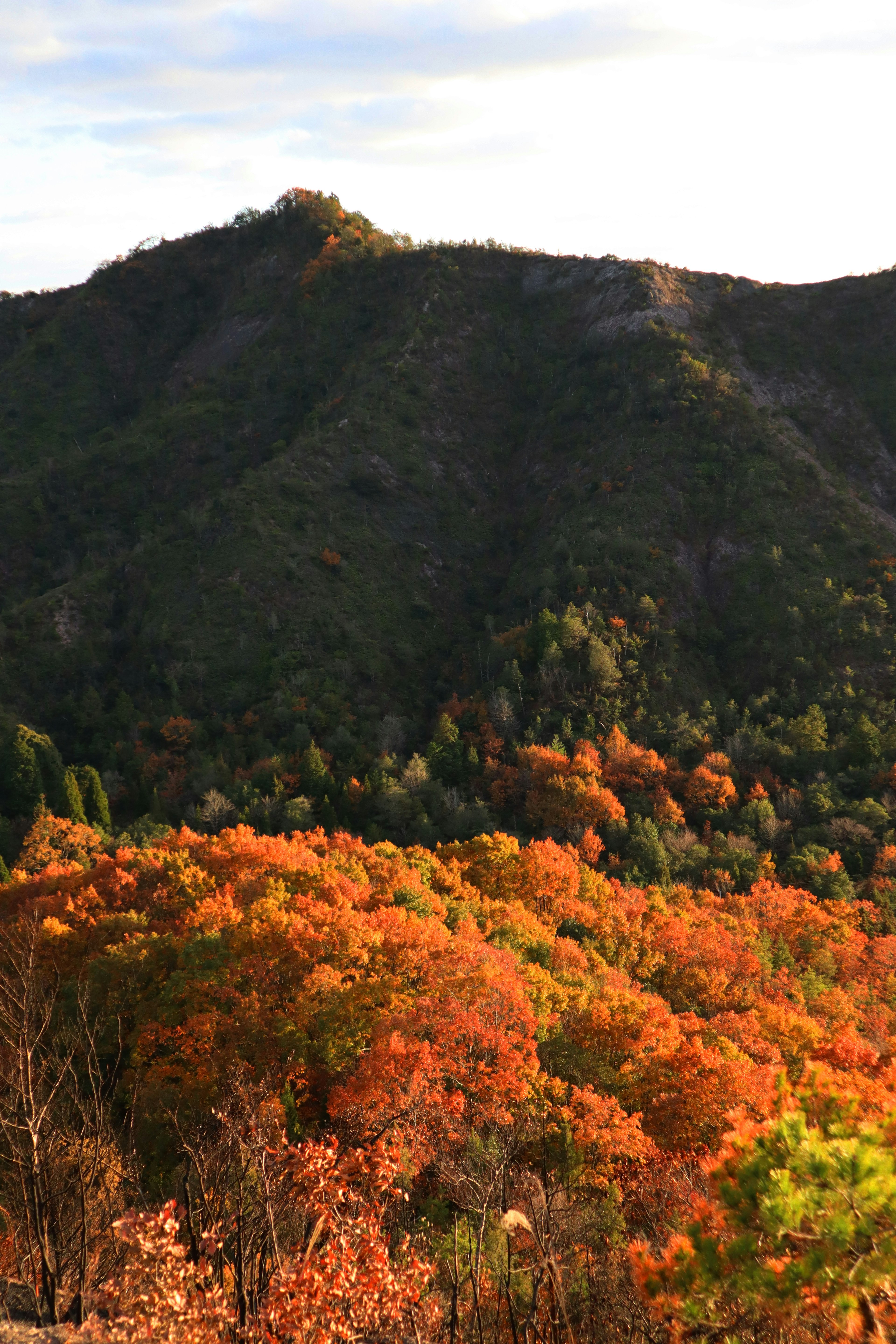 2024-05-hyogo-image-26