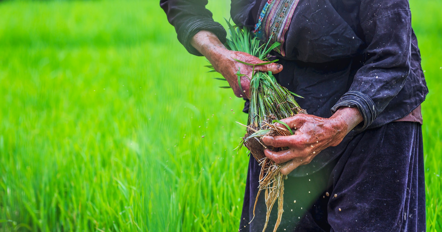 2024-08-water-scenes-award-cover-image