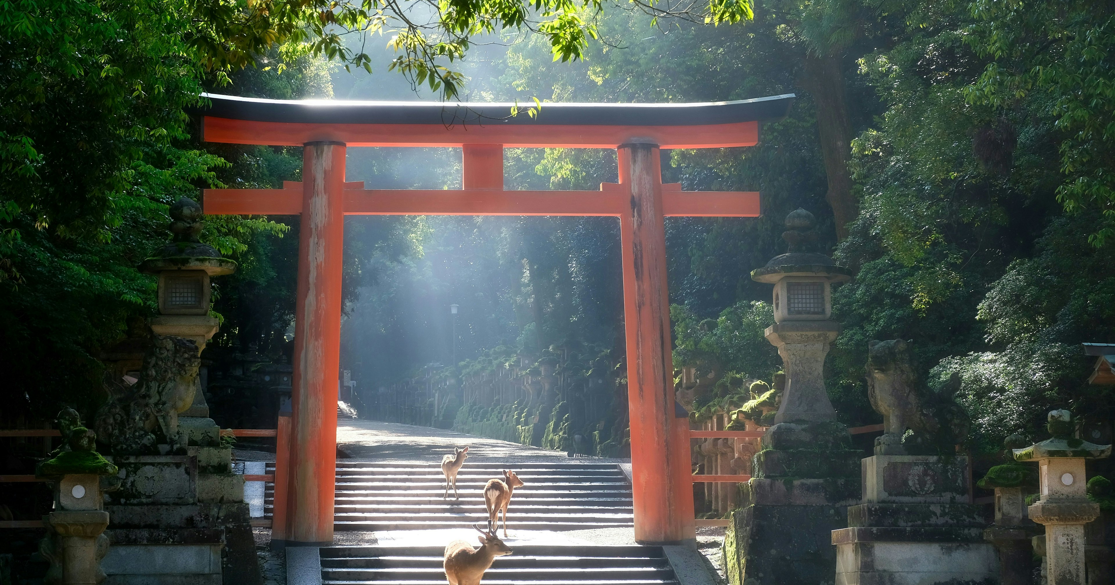 2025-05-photo-poster-project-in-nara-june-cover-image