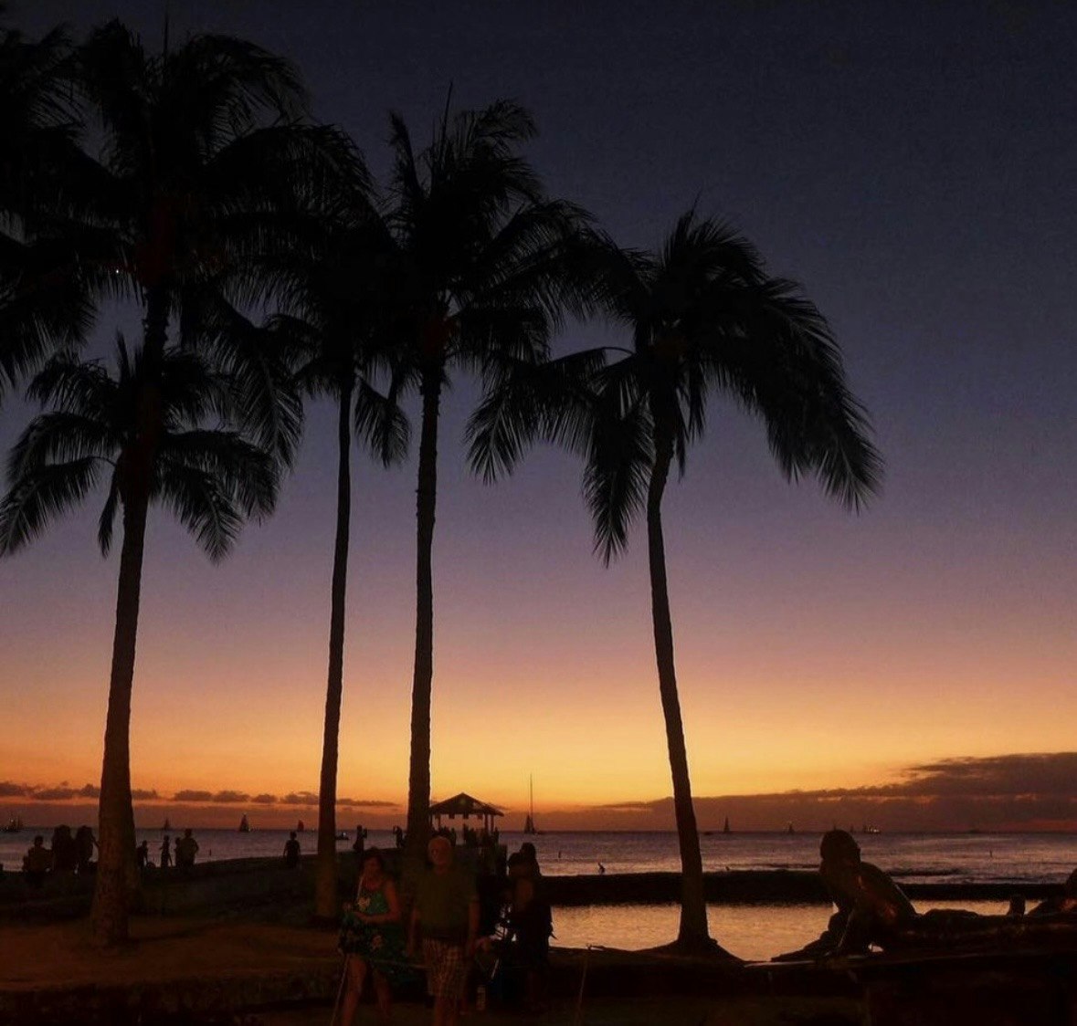 2024-03-5tips-for-night-snap-image-19