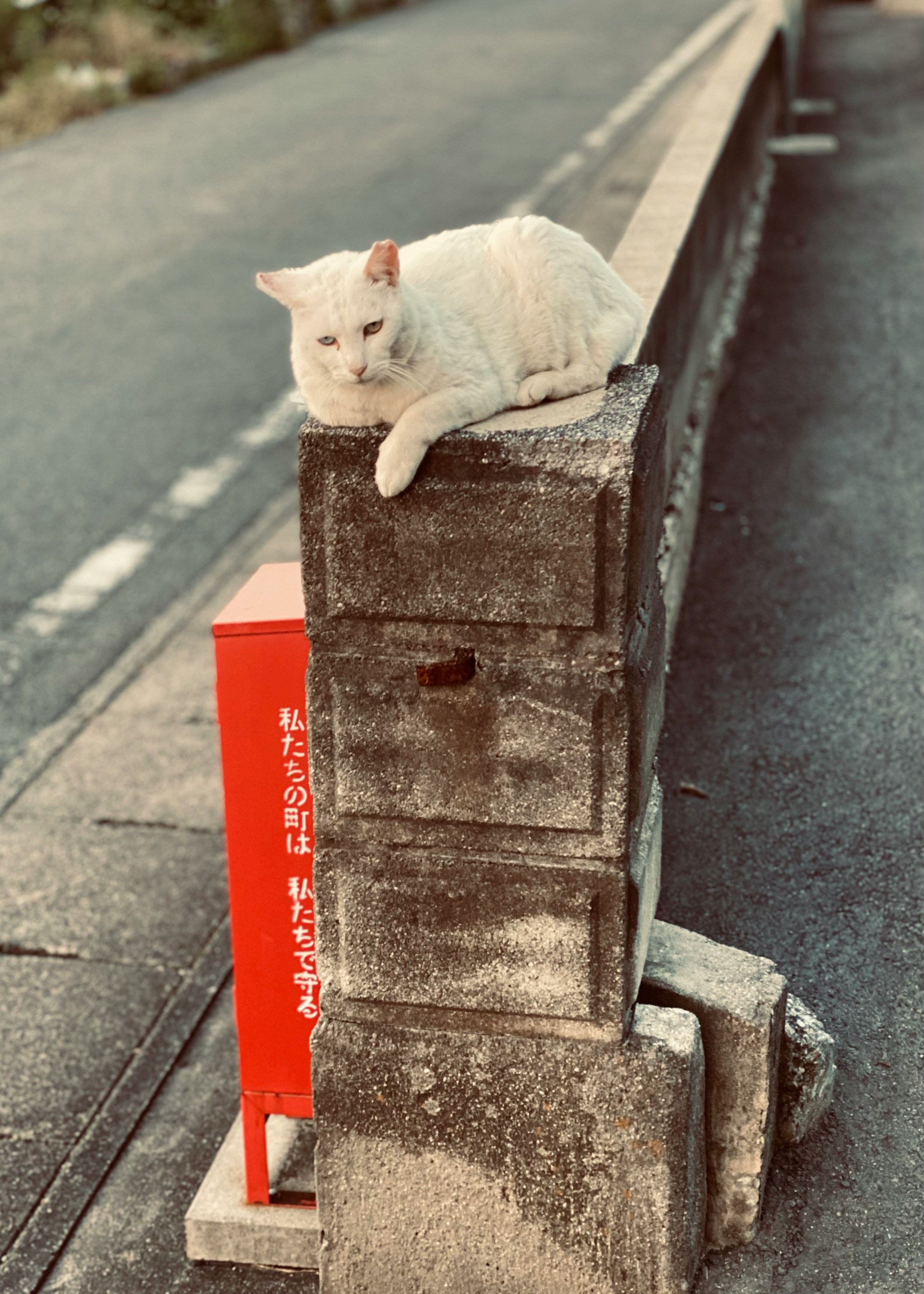 2024-07-streetsnap-report-image-9