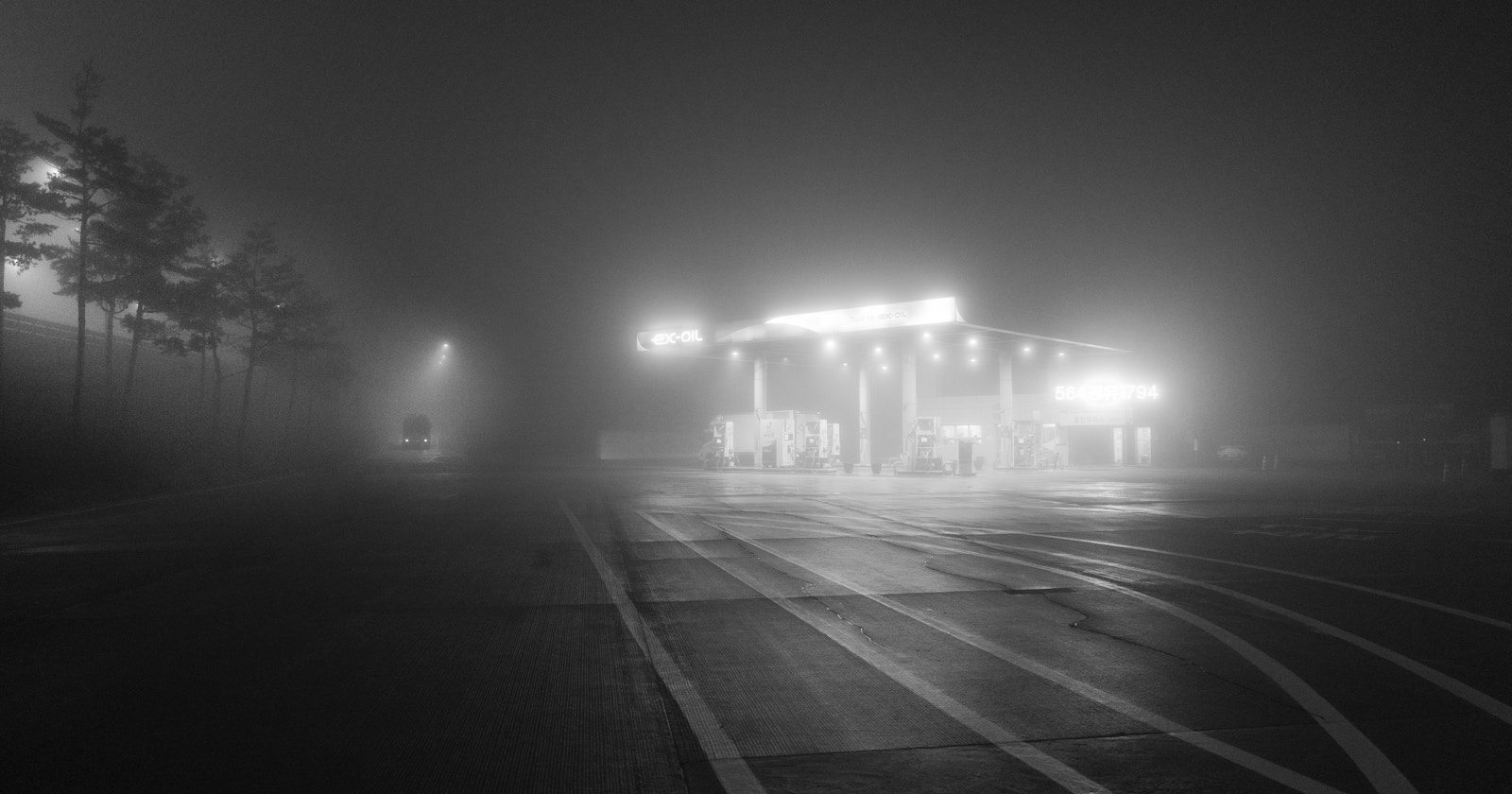 Annuncio dei premiati di «Between Light & Shadow» a cura di cizucu | Challenge #367