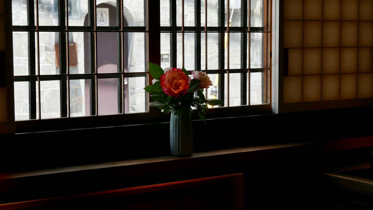 Image by Yusei