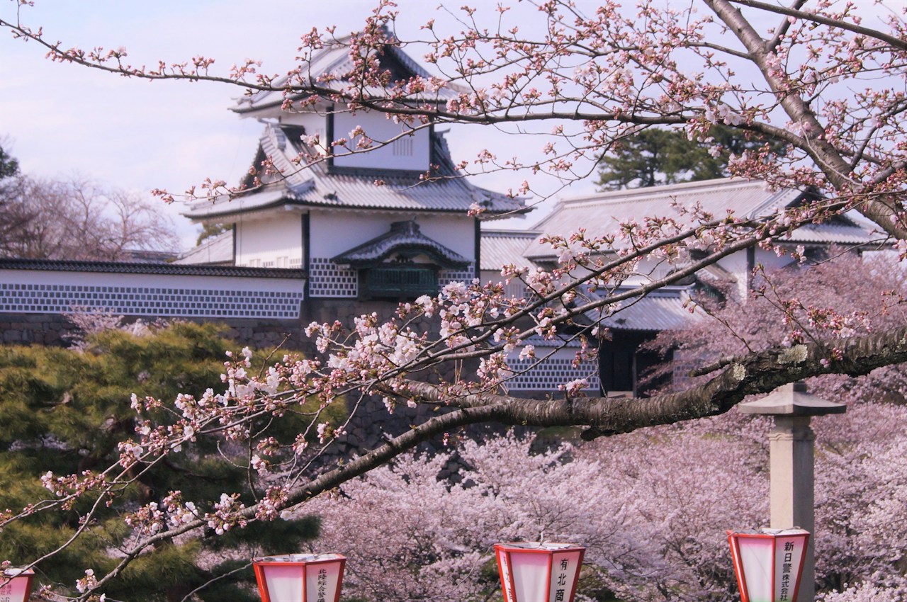 Chasing the Cherry Blossom Front: Exploring Spring Across Japan | Focus #57