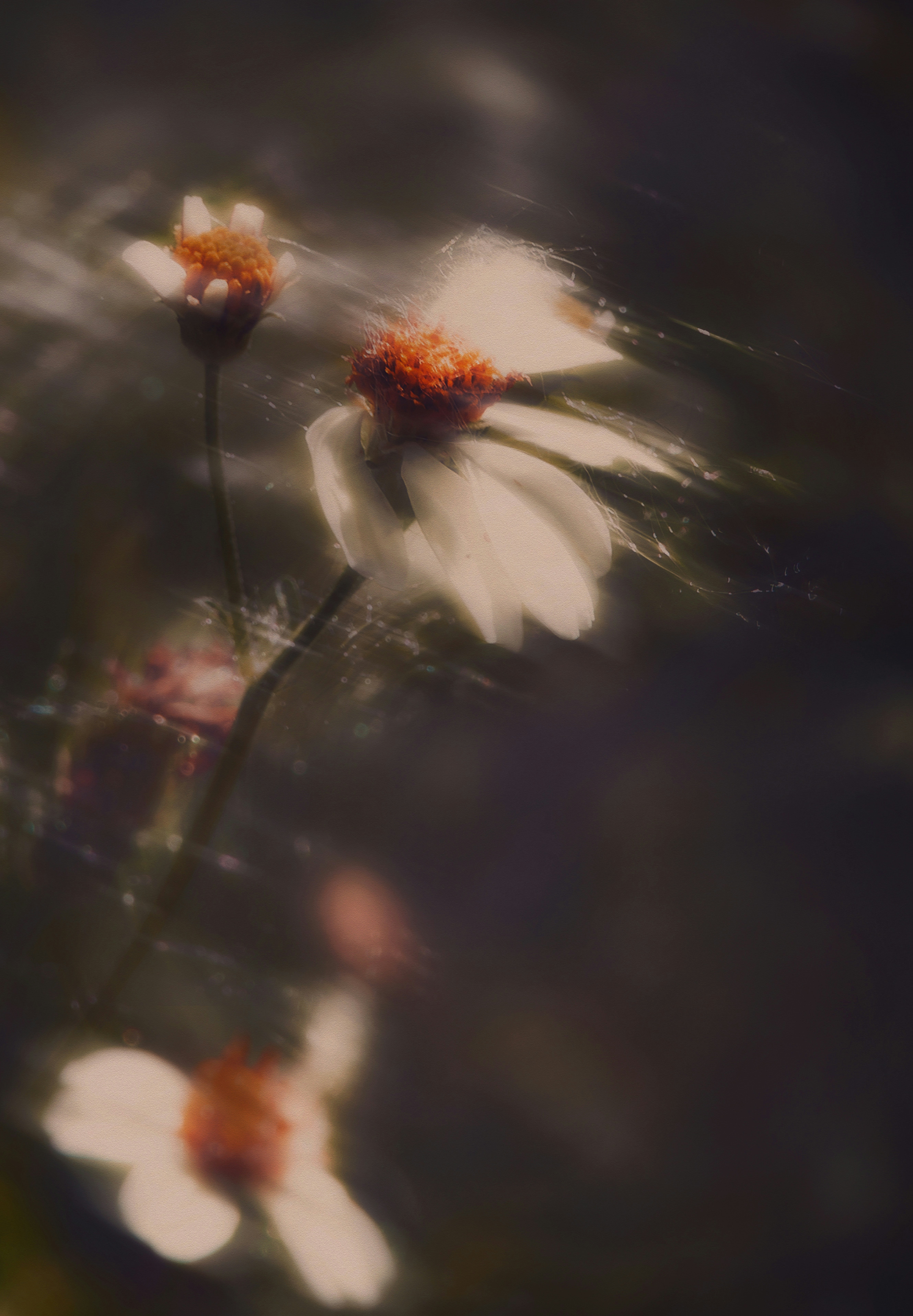 2026-04-find-new-pieces-flower-image-26