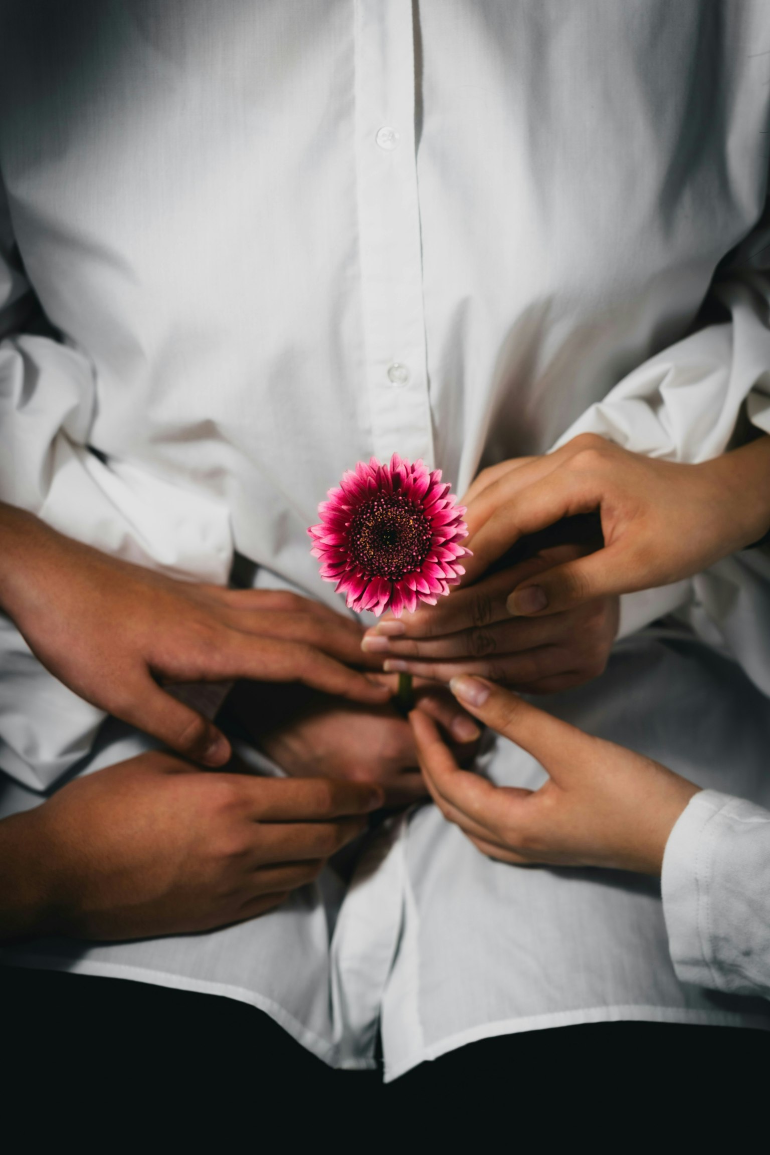 2025-04-blossoms-for-you-image-10