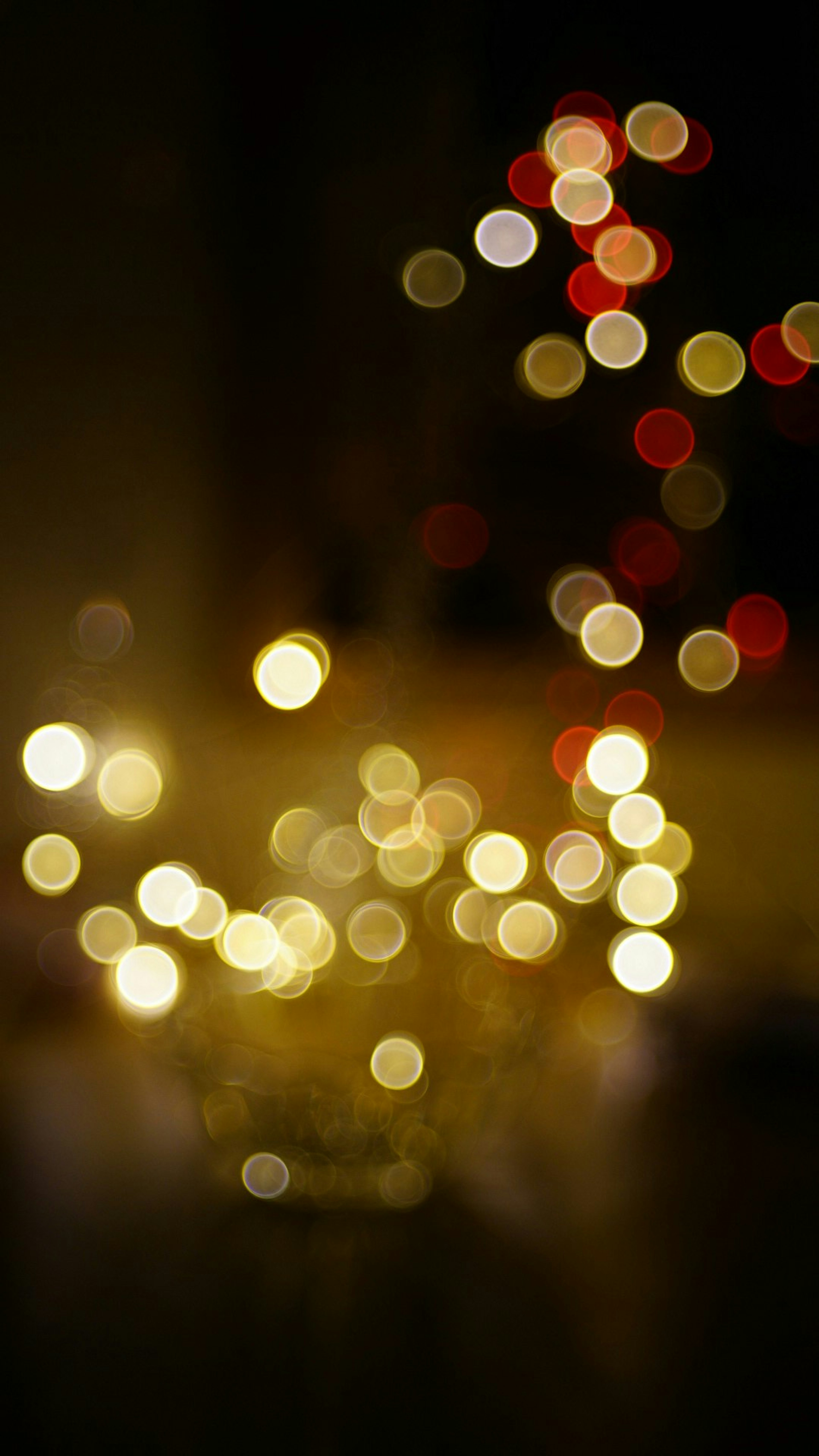 2024-11-illumination-bokeh-photography-image-5