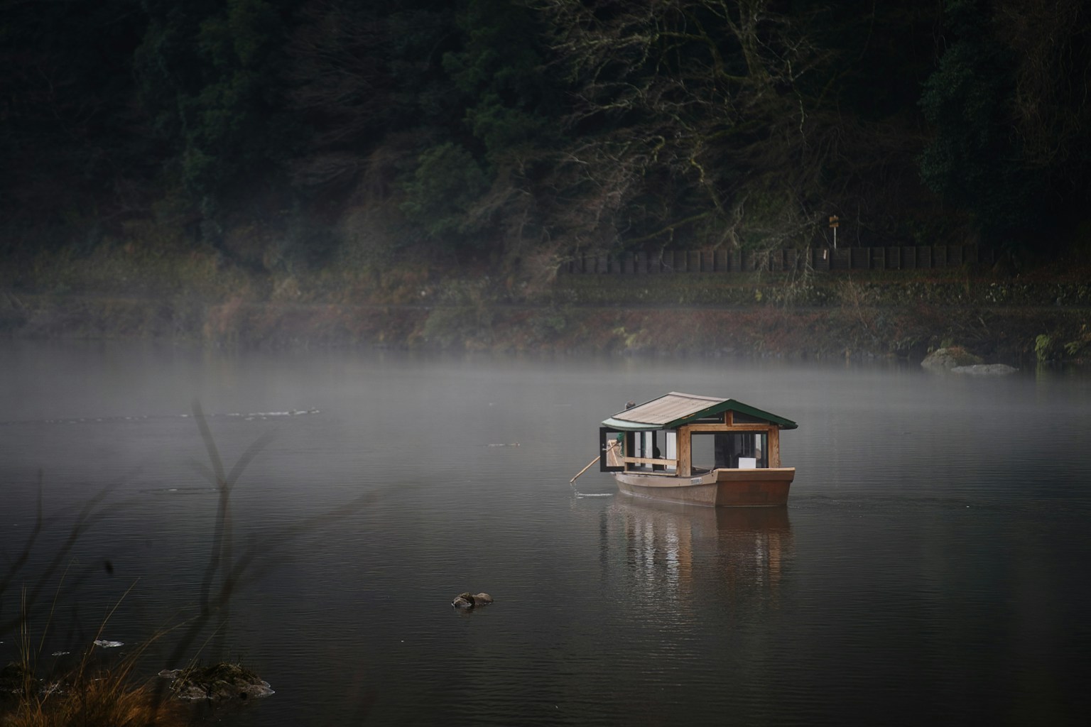 2024-10-fog-photography-image-2