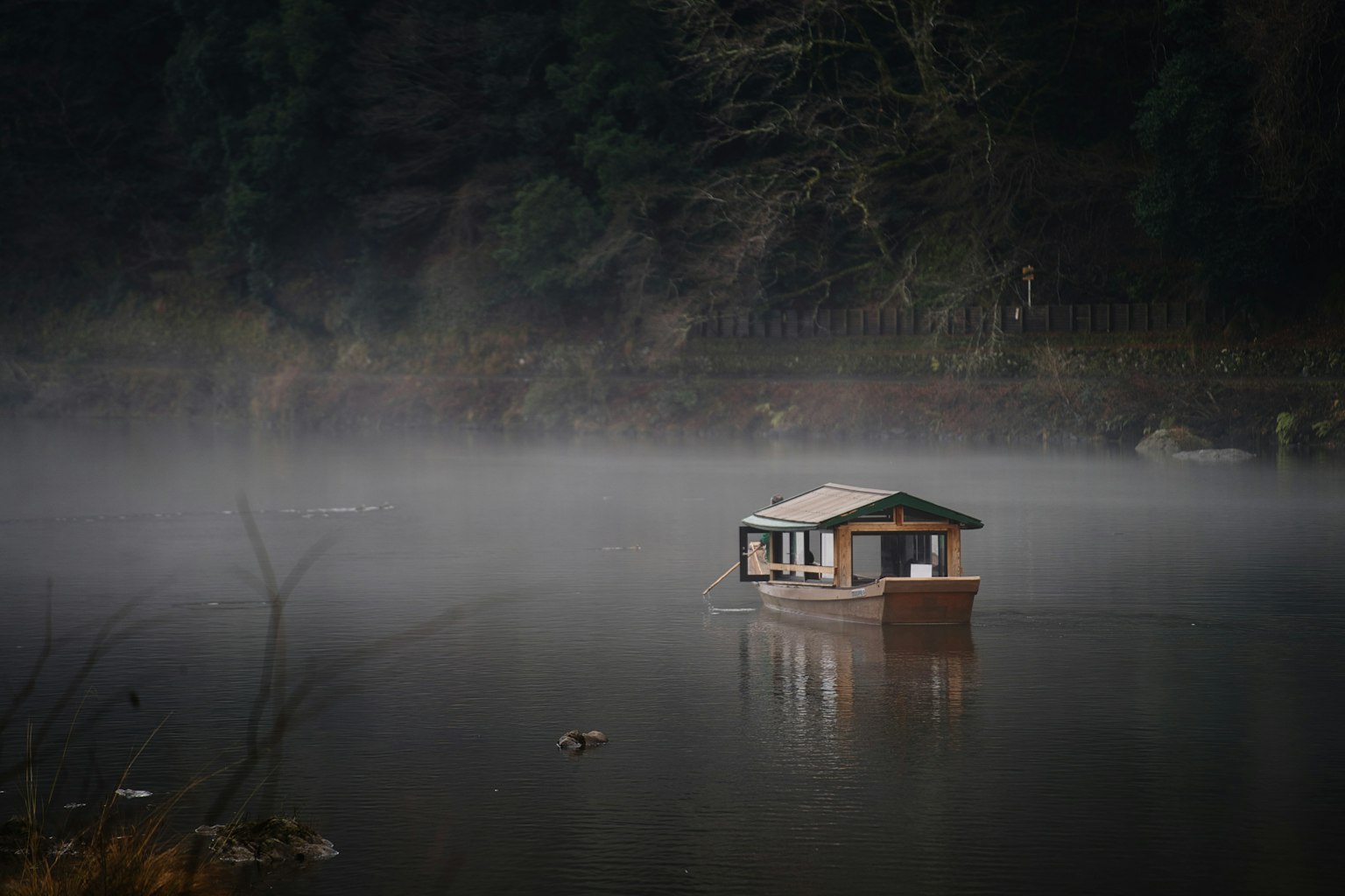 2024-10-fog-photography-image-2