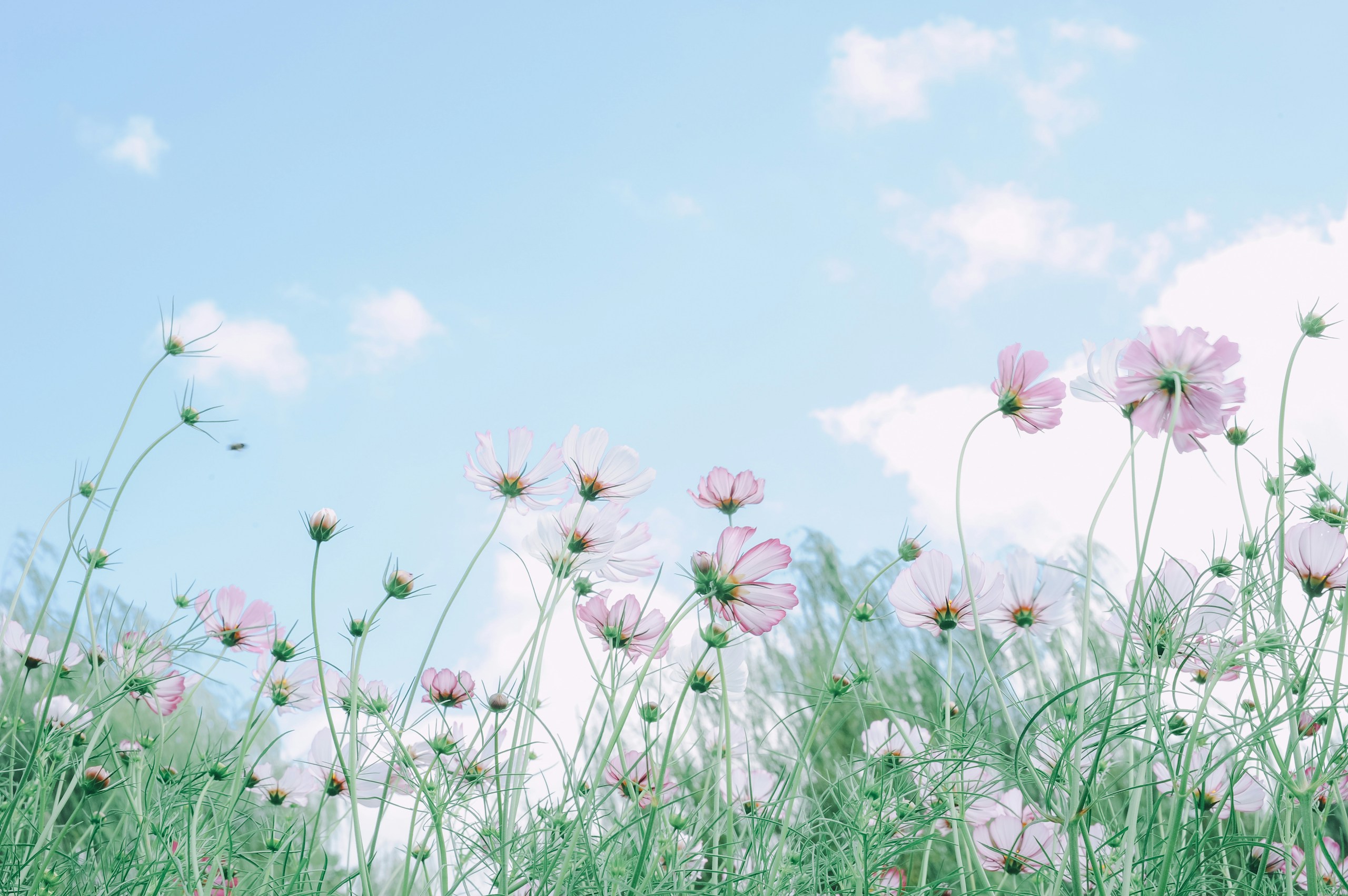 Photo by tskktskk