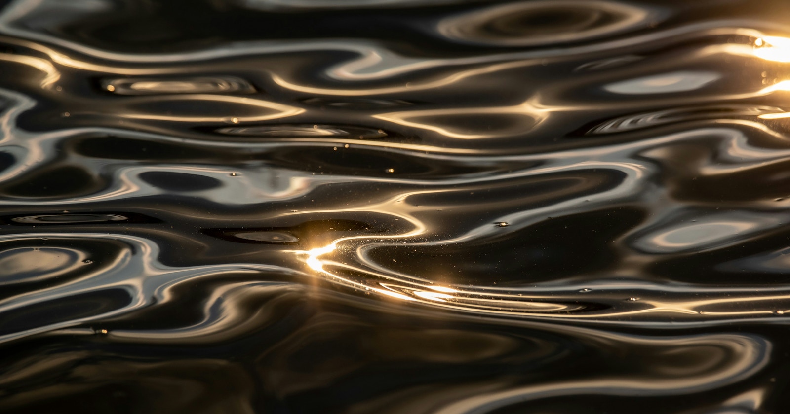 A New Era: Smartphones Capture 25 Spectral Channels | Release #627
