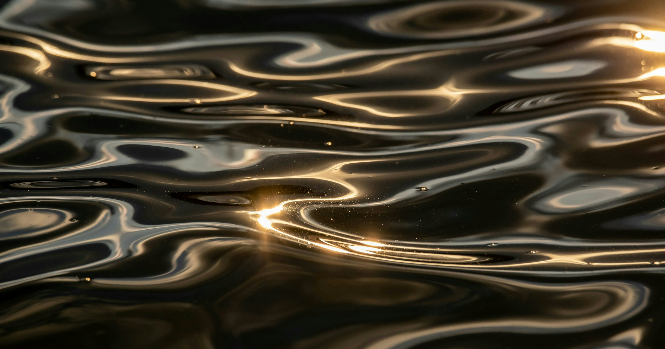 A New Era: Smartphones Capture 25 Spectral Channels | Release #627
