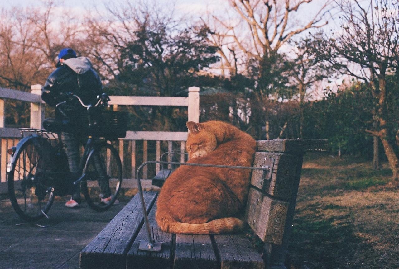 2024-06-film-guideline-image-13