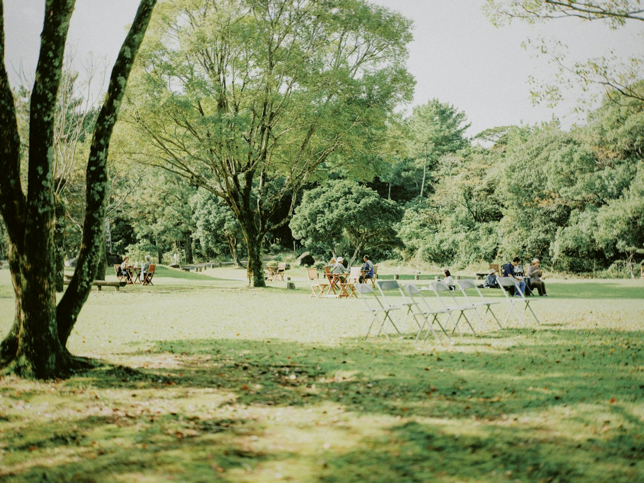 Photo by uhe