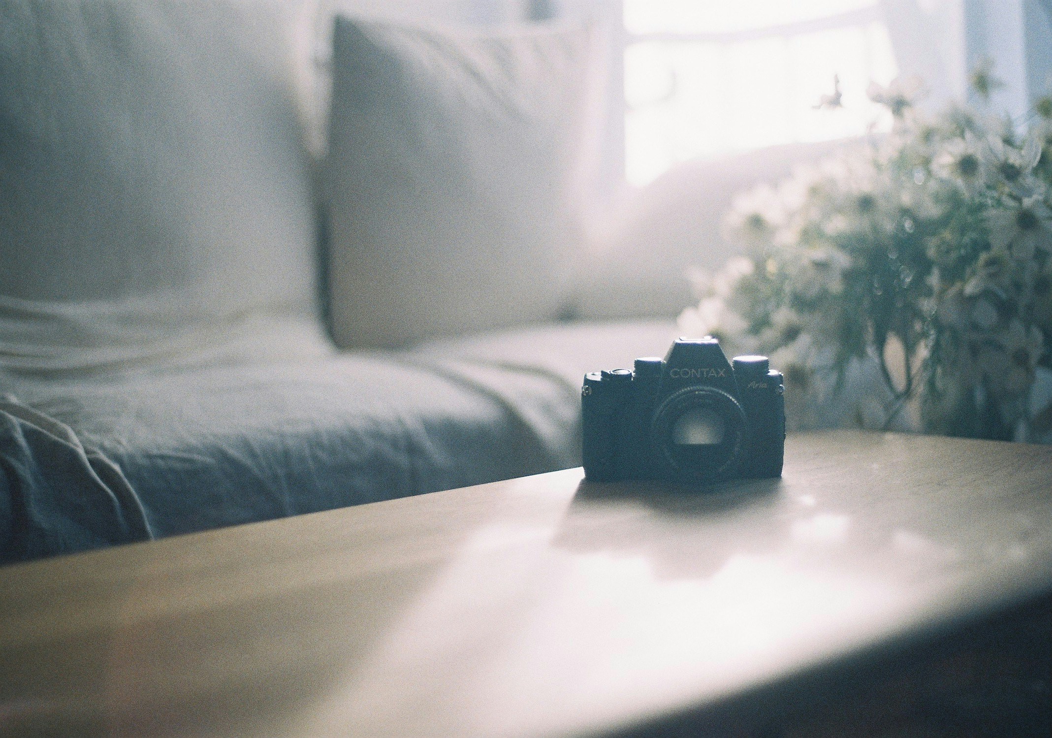 Image by miho